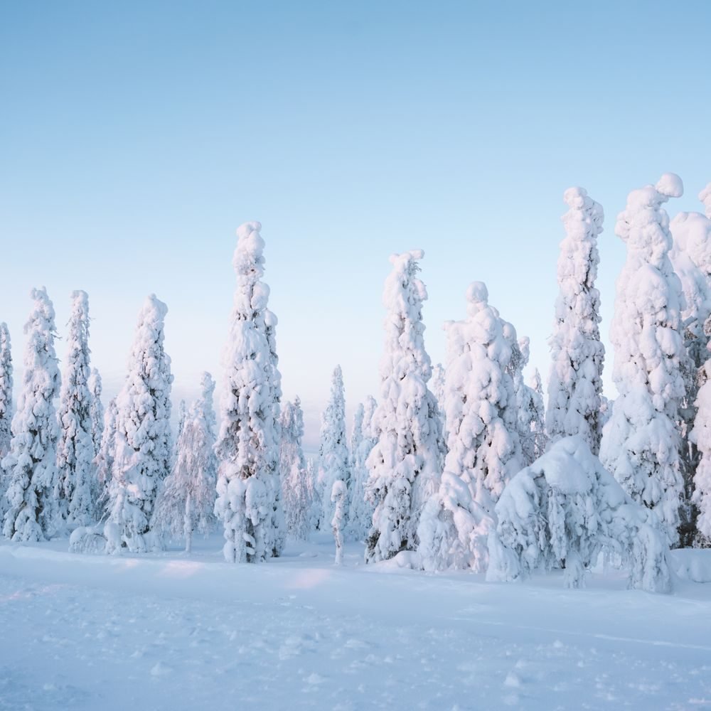 Finland Value Package — photo 3