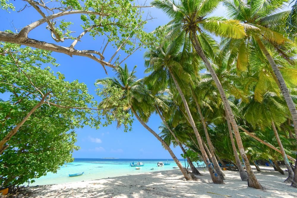 Seychelles Value Package — photo 3