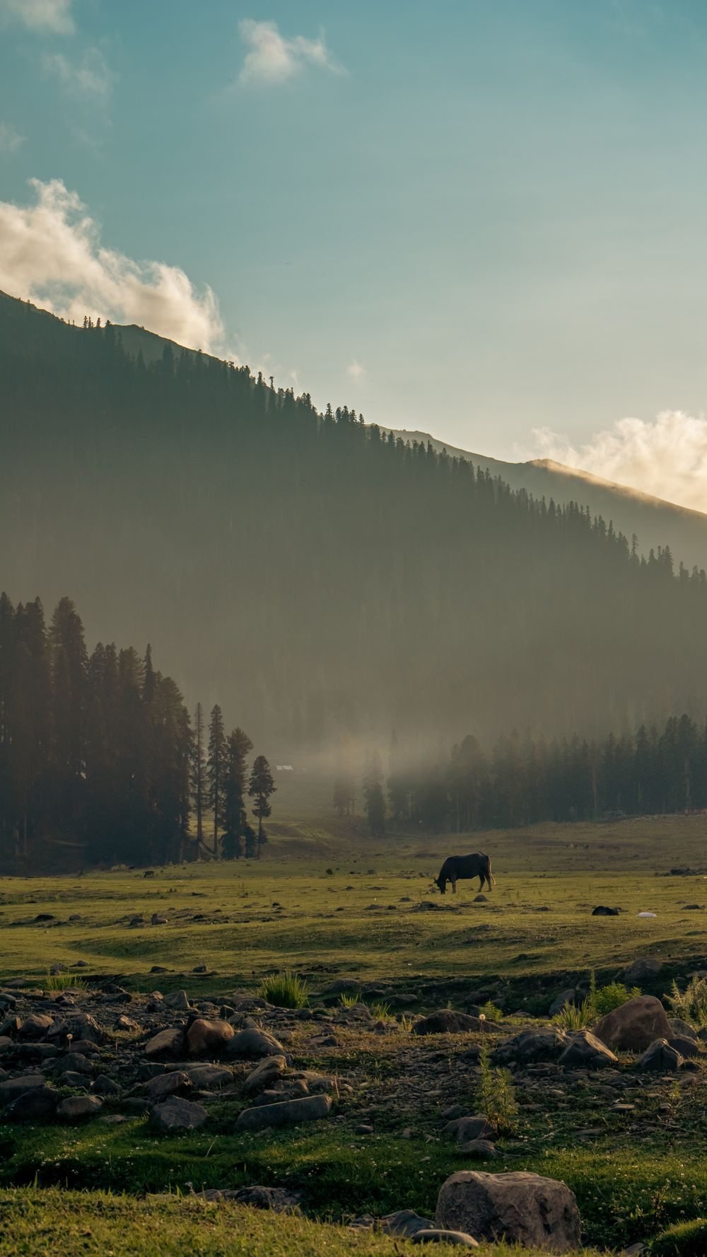 Kashmir Romantic Escape holiday package