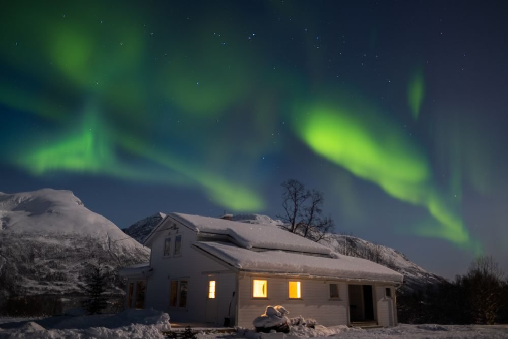 Norwegian Cruise – Seattle Alaska Glacier (Freestyle) — photo 2