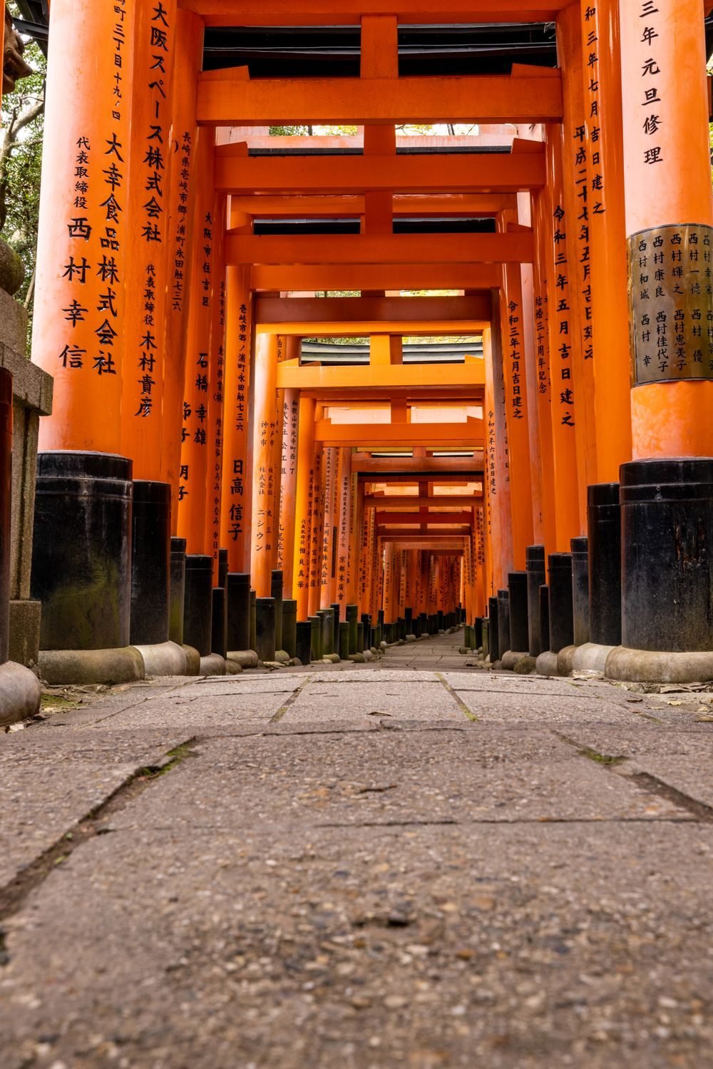 Kyoto Romantic Getaway — photo 2