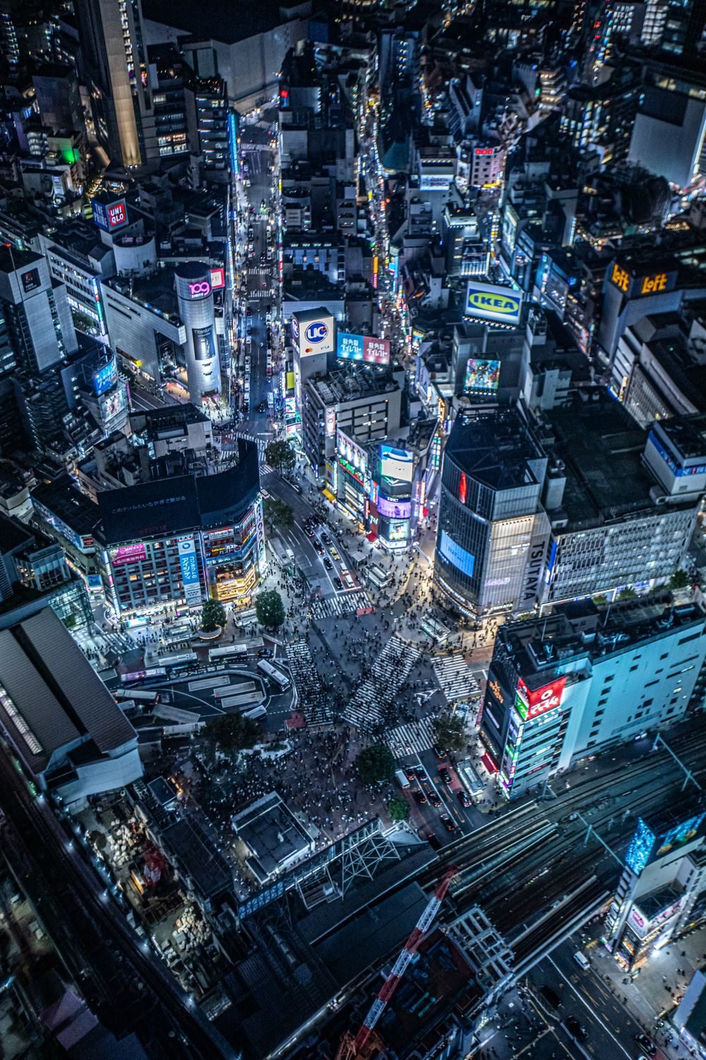 Tokyo City Budget Break — photo 3