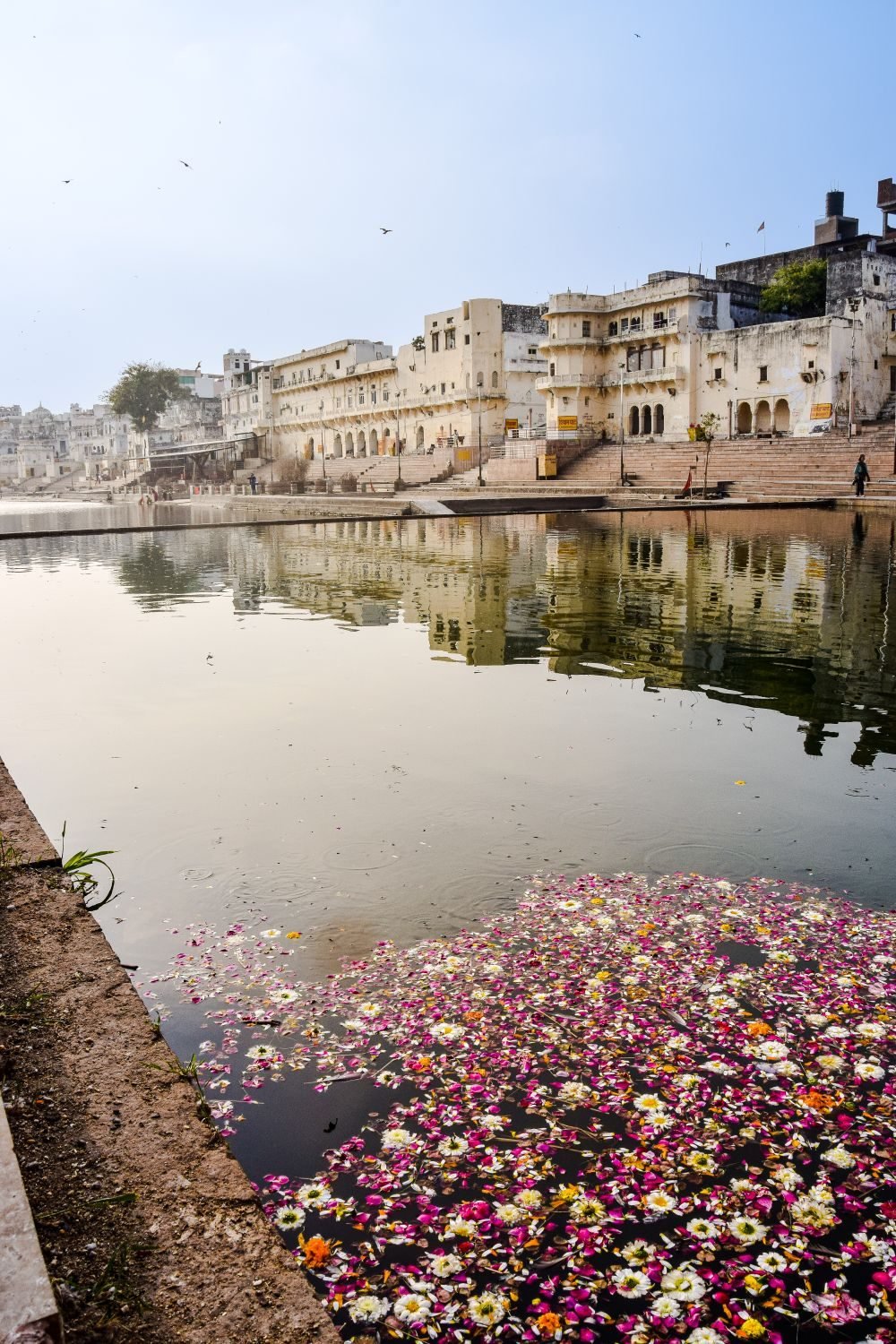 Golden Triangle with Pushkar — photo 1