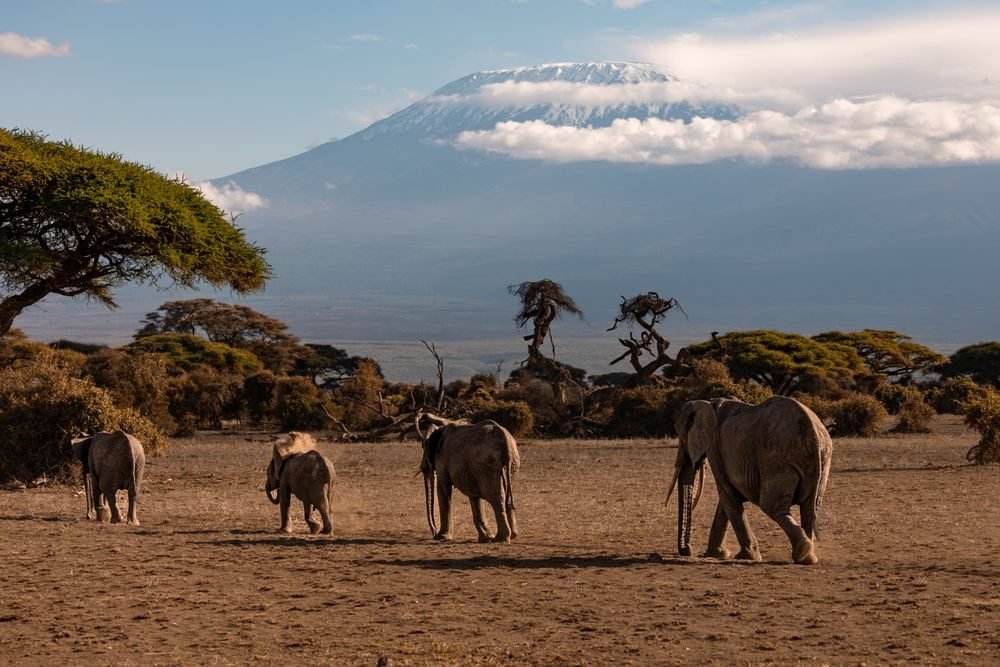Kenya Explorer — photo 3