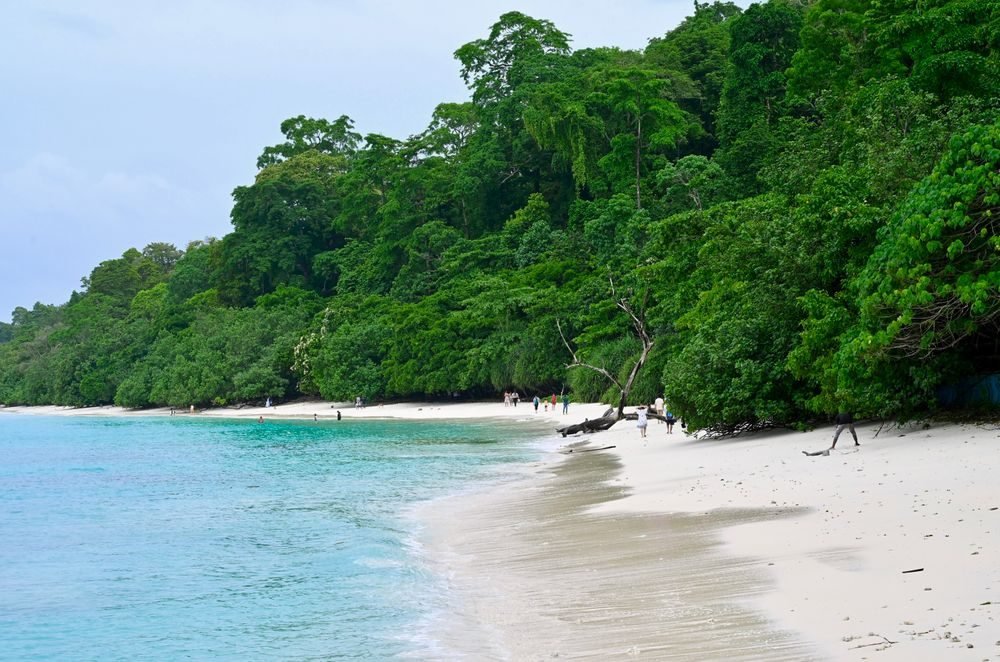 Andaman — Port Blair & Havelock — photo 1