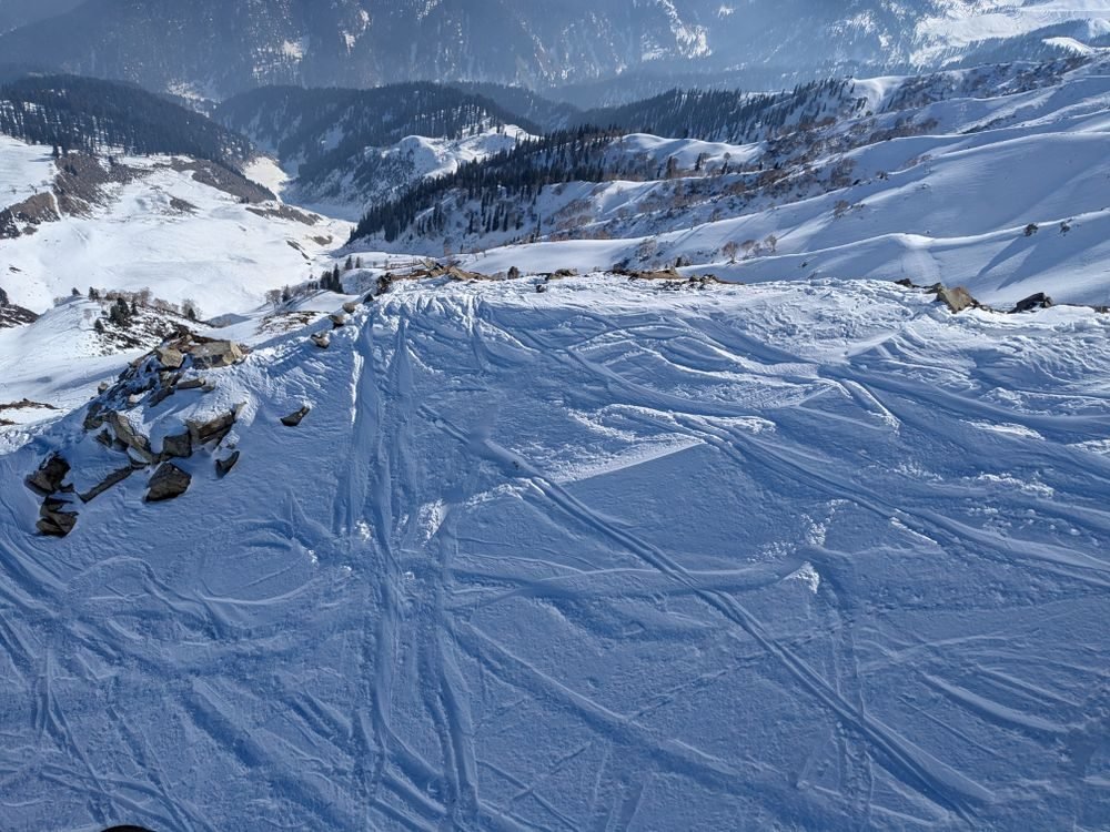 Gulmarg Gondola & Ski Tour — photo 3
