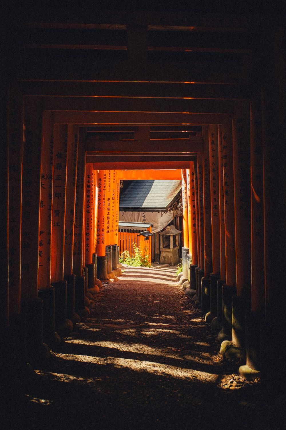 Japan Cultural Discovery — photo 1