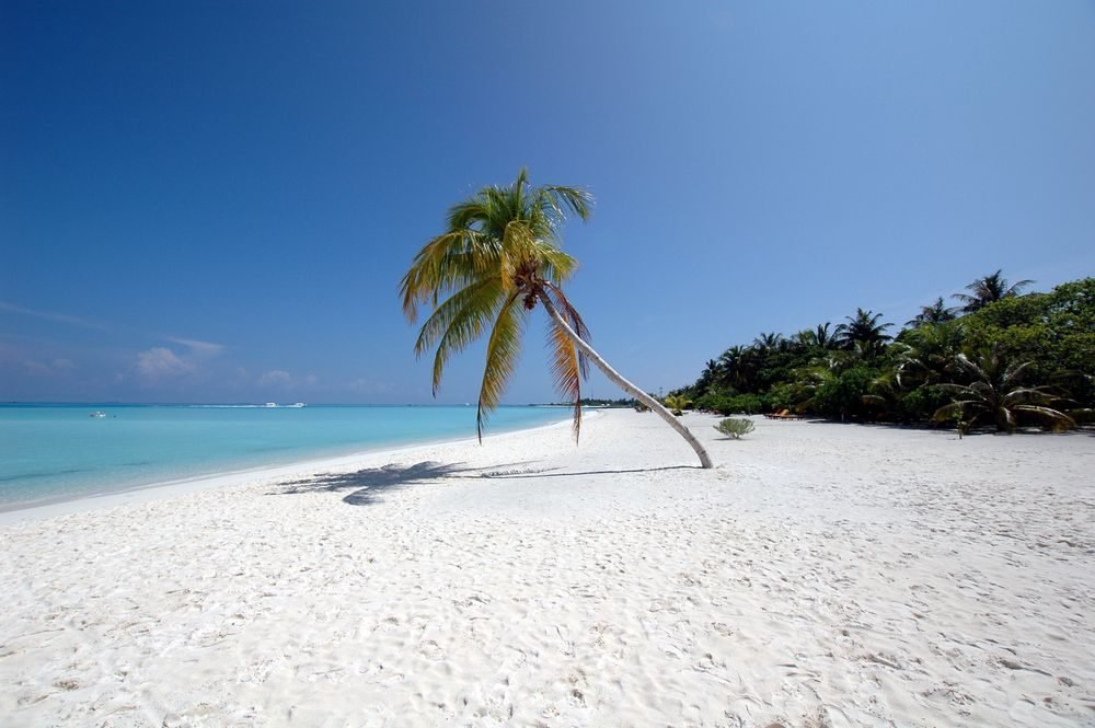 Maldives Couples Escape — photo 2