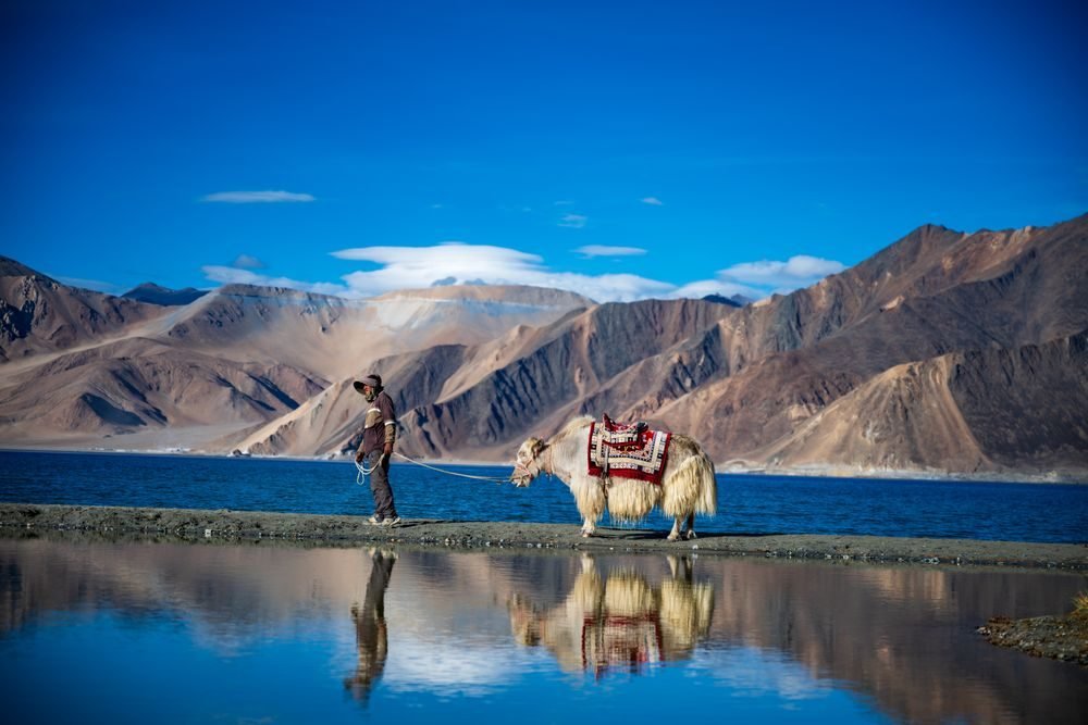 Nubra Valley & Diskit Tour — photo 1