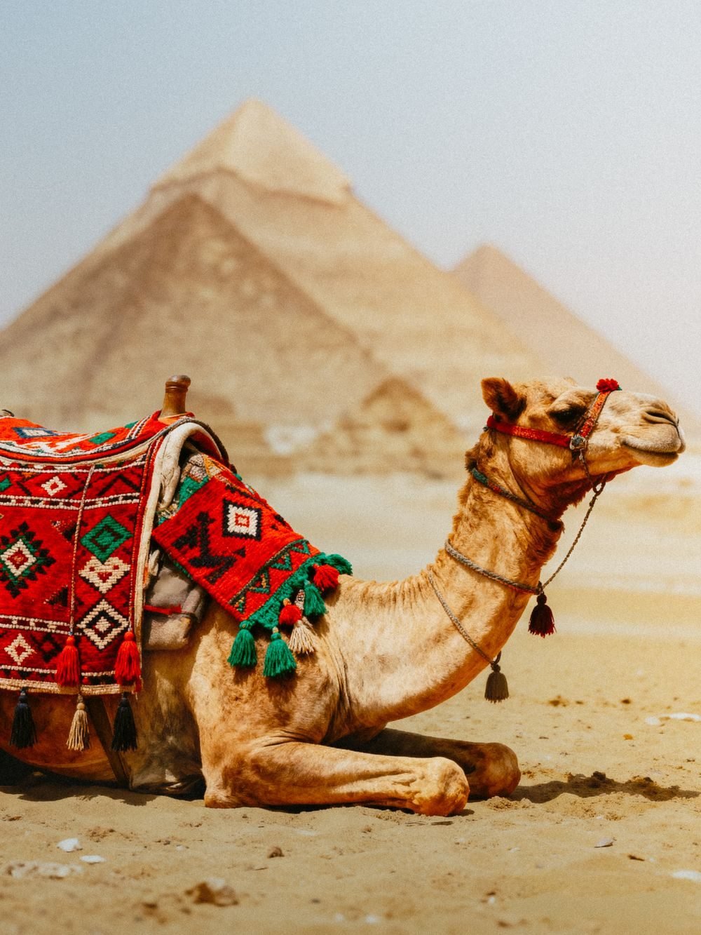 Egypt