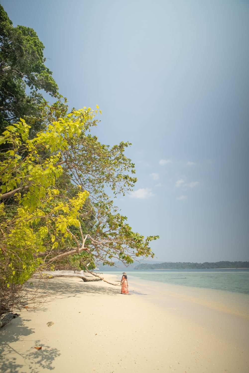 Andaman — Port Blair & Havelock — photo 3