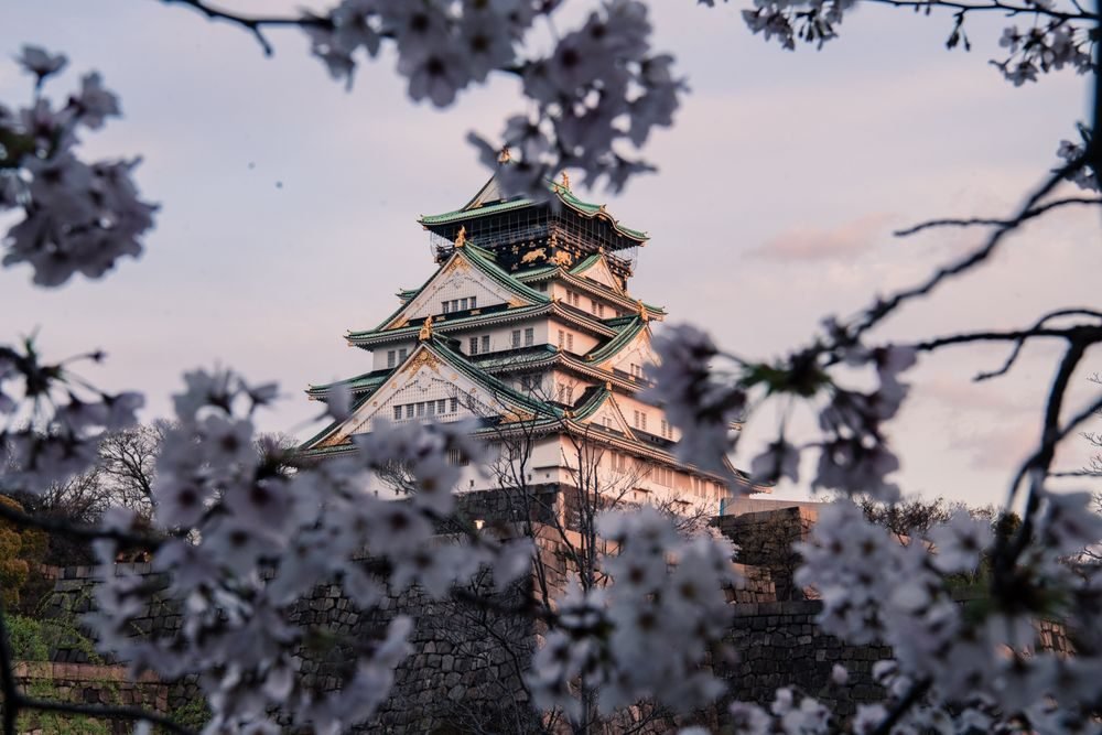 Japan Smart Saver — photo 1