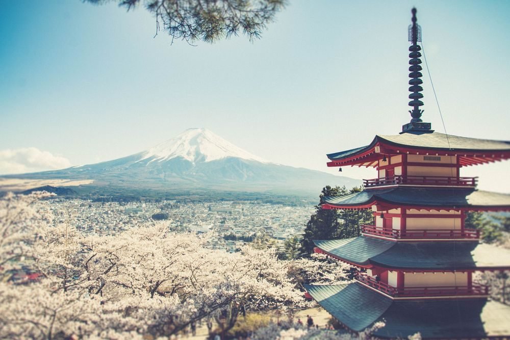 Japan Sakura Honeymoon — photo 1