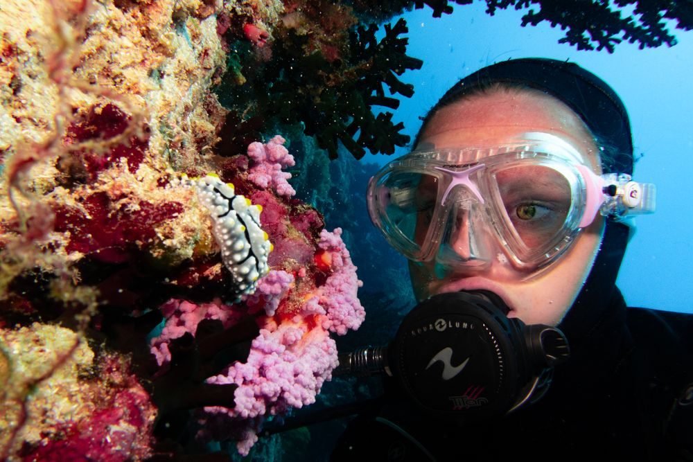 Havelock Elephant Beach Dive — photo 1
