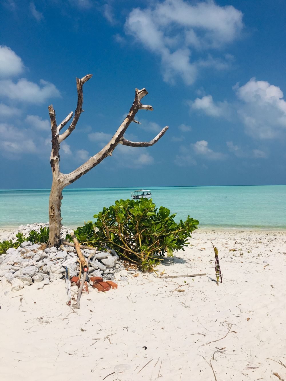 Kochi – Lakshadweep – Mumbai Cruise — photo 2