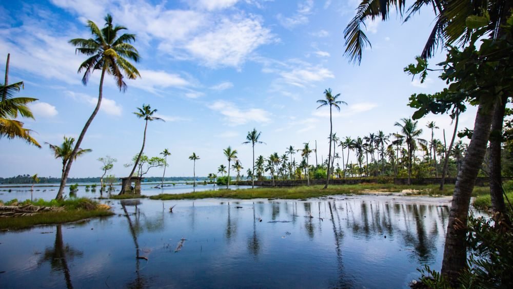 Goa – Mumbai Round Cruise (4 Nights) — photo 3