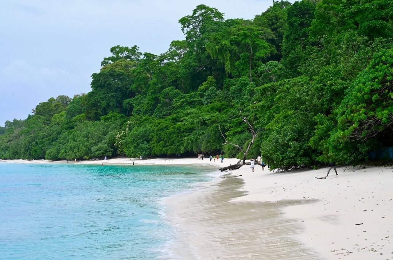 A pristine Andaman beach backed by jungle