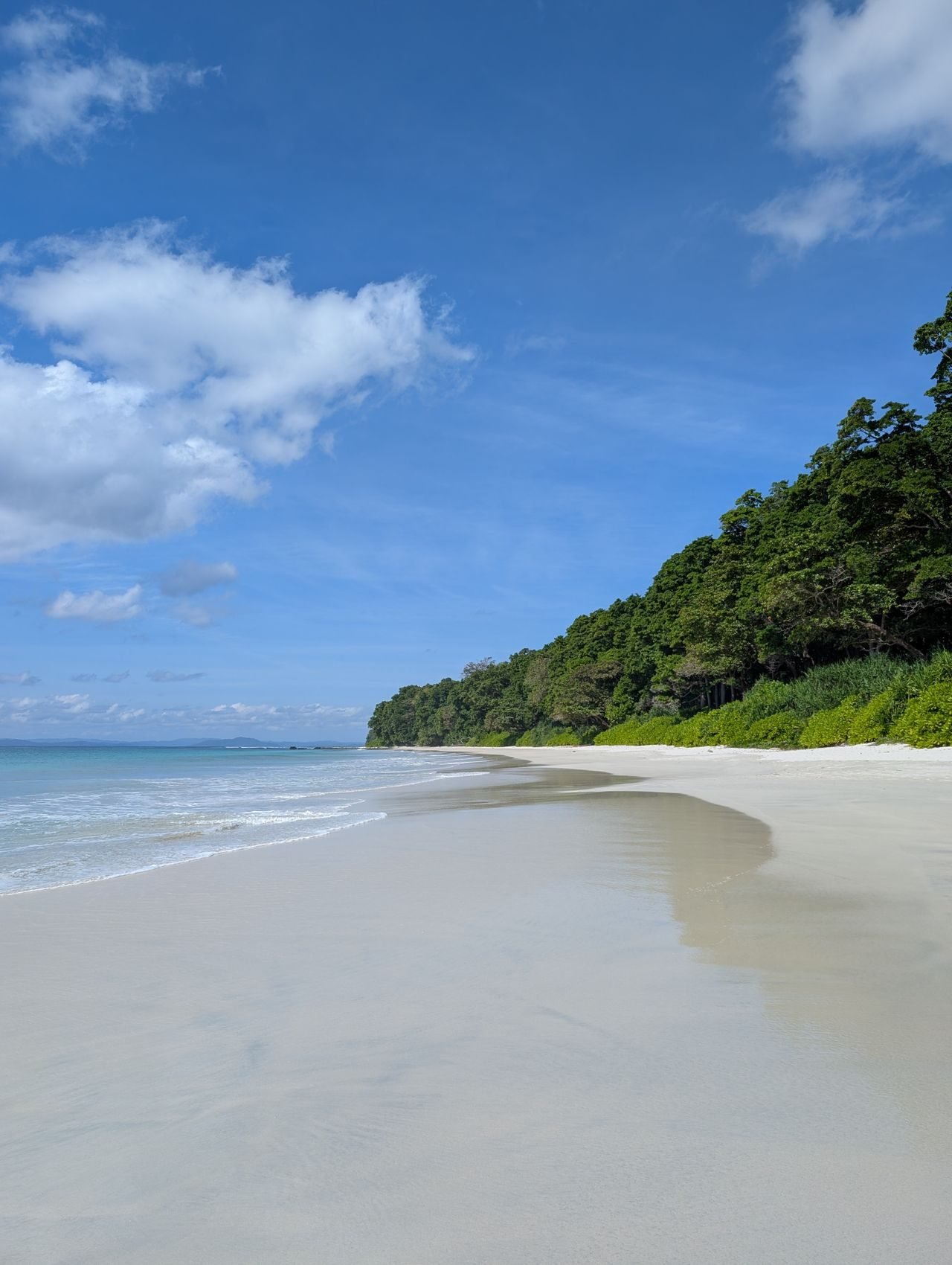 An Andaman beach and lush greenery