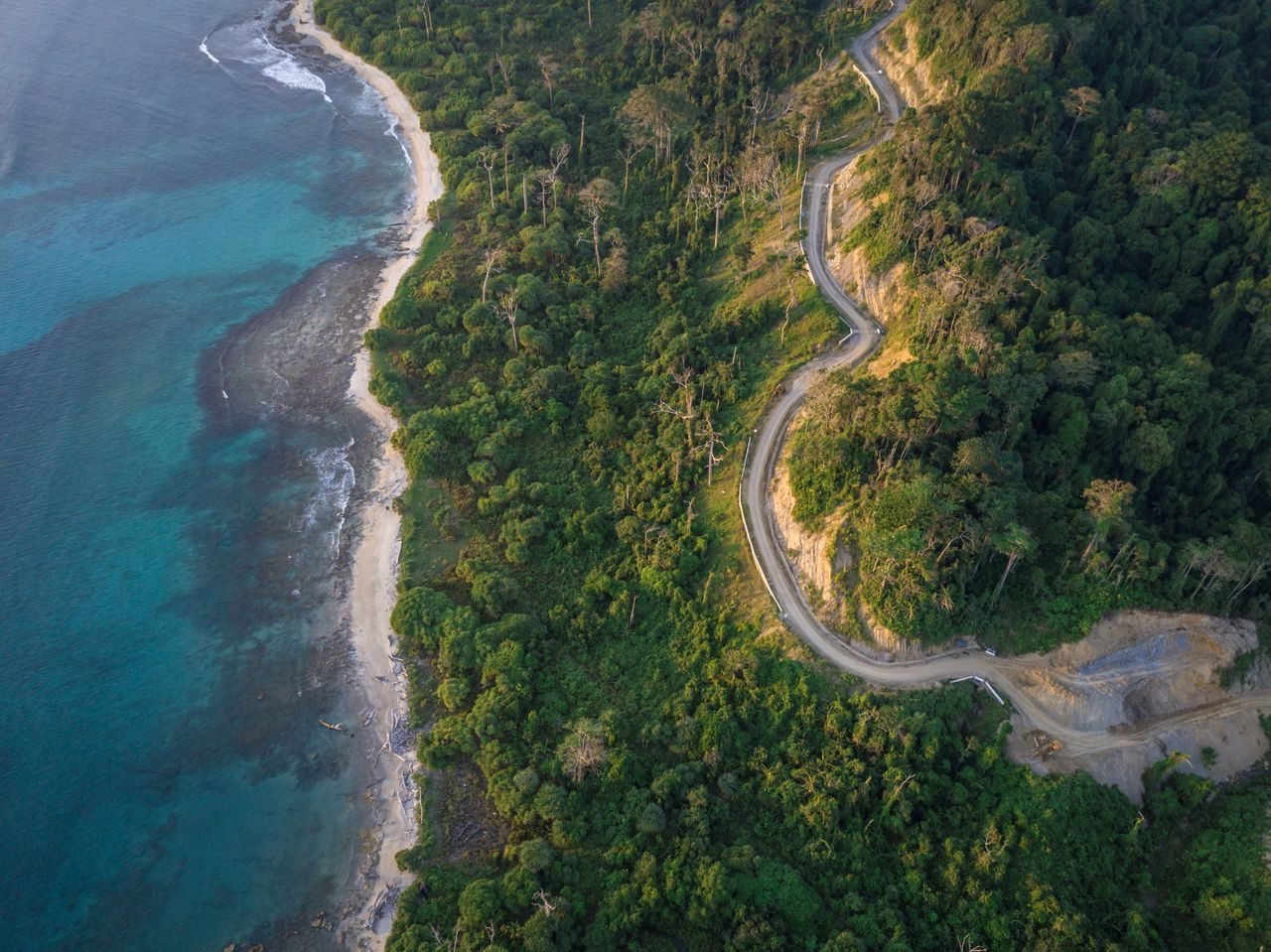 A winding coastal road through Andaman jungle