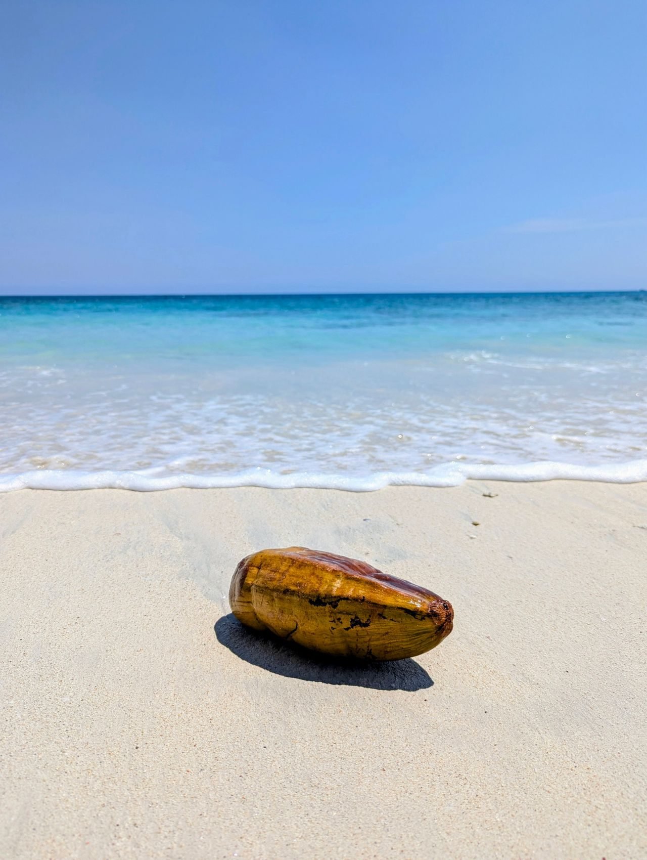 White-sand Radhanagar Beach, Havelock, Andaman