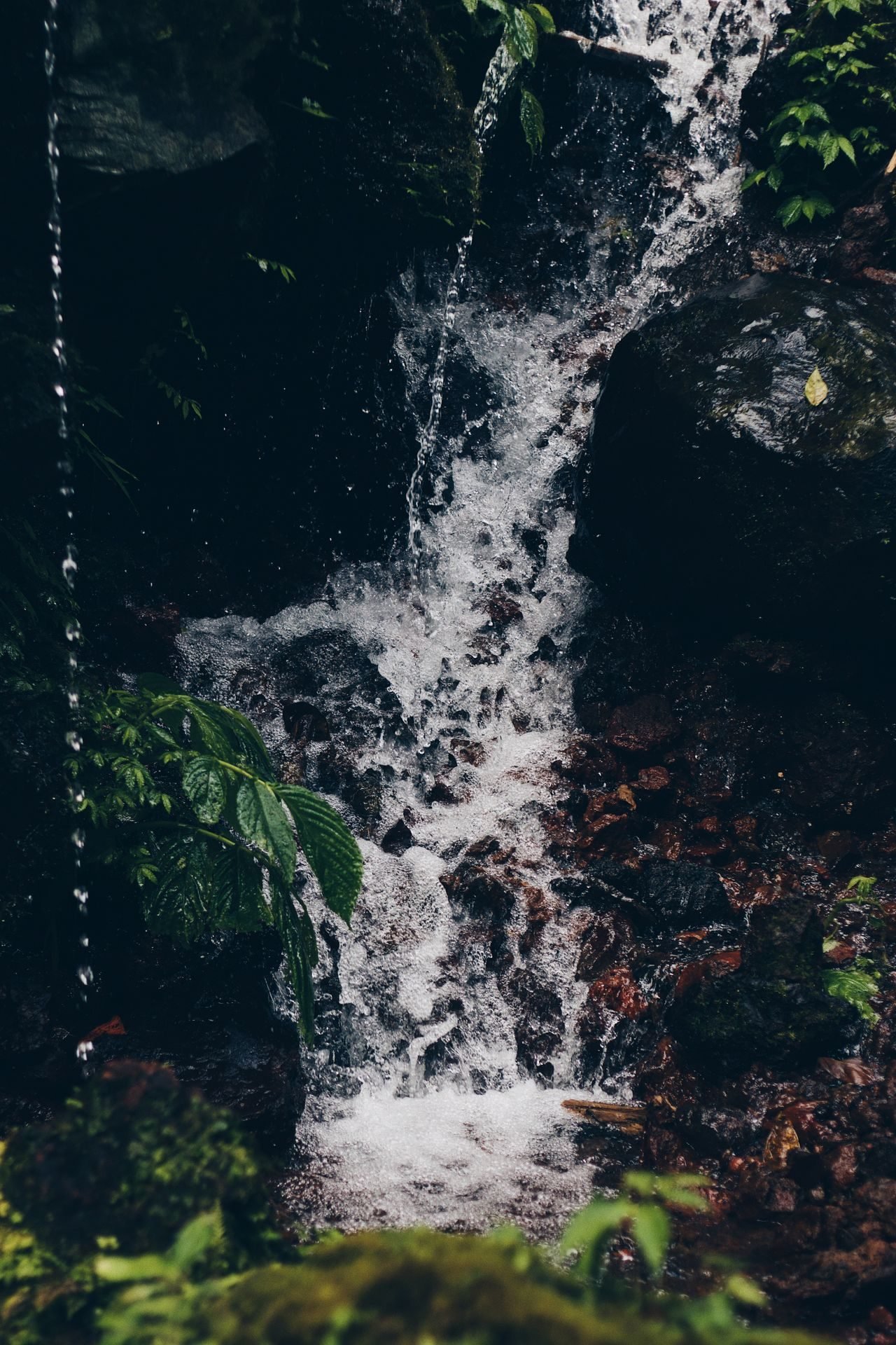Forest waterfall in Bali