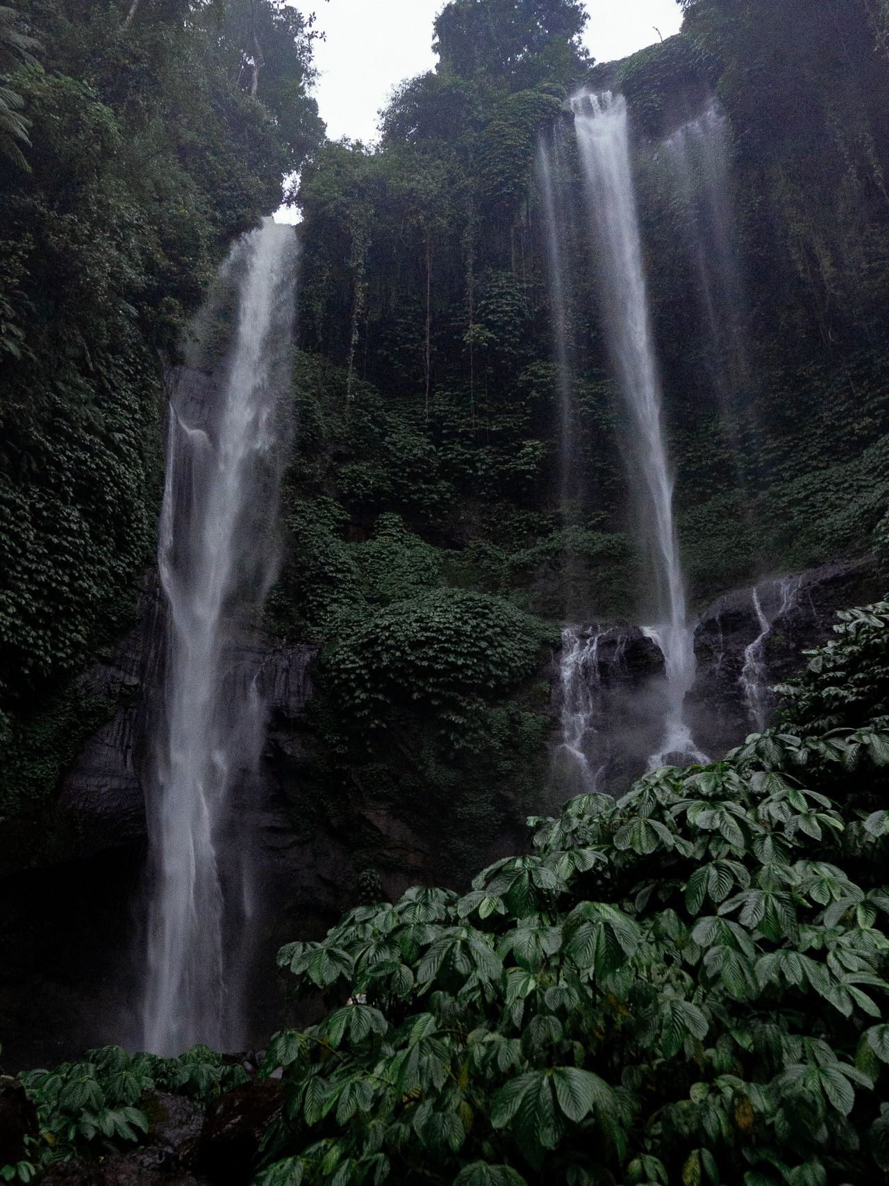 Bali holiday scenes