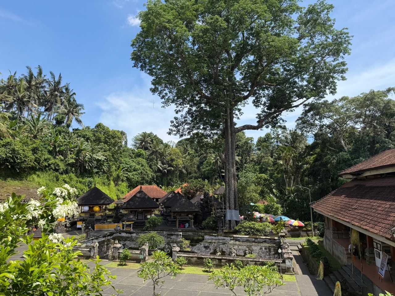 Bali holiday scenes