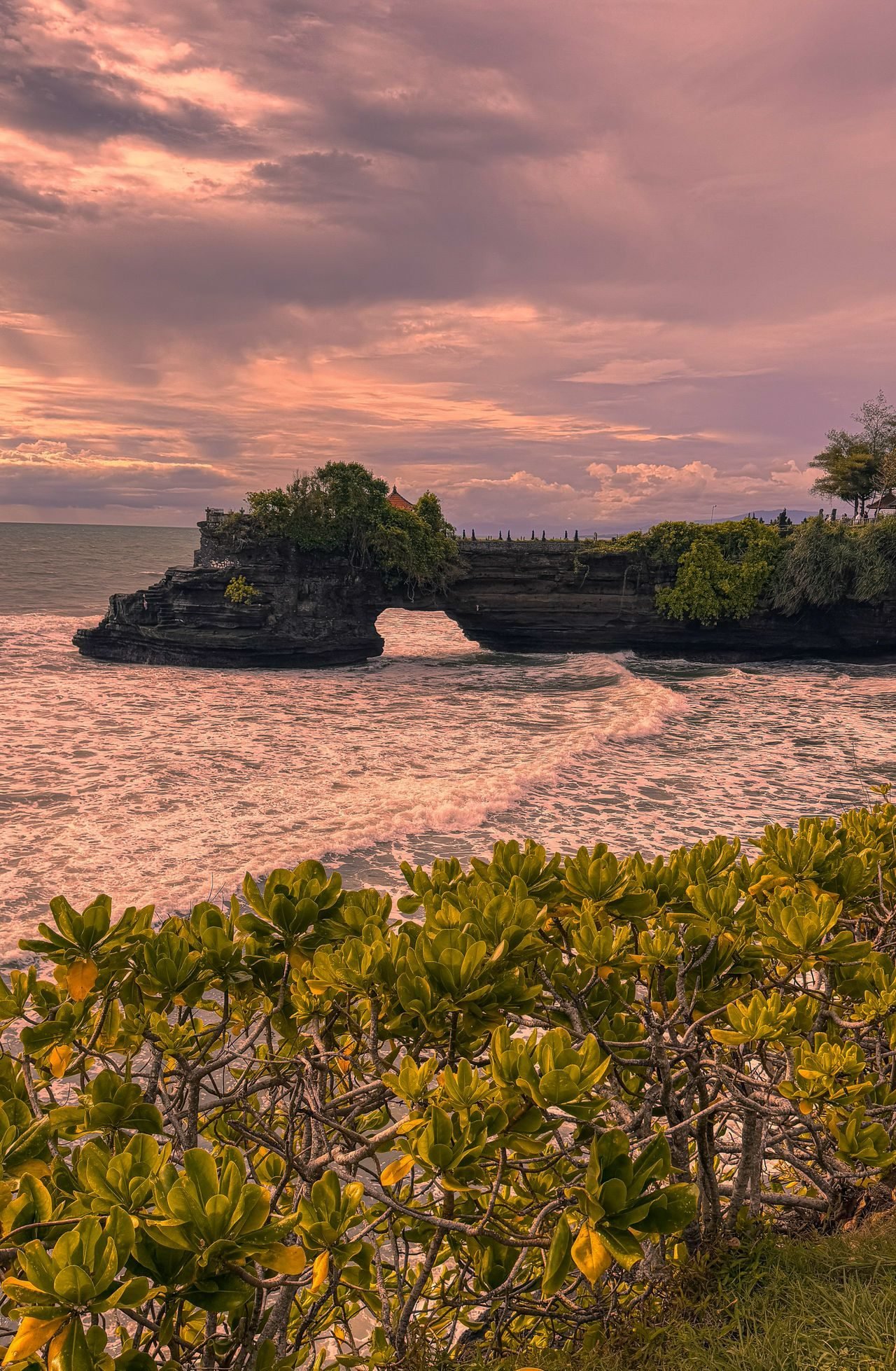 Bali holiday scenes