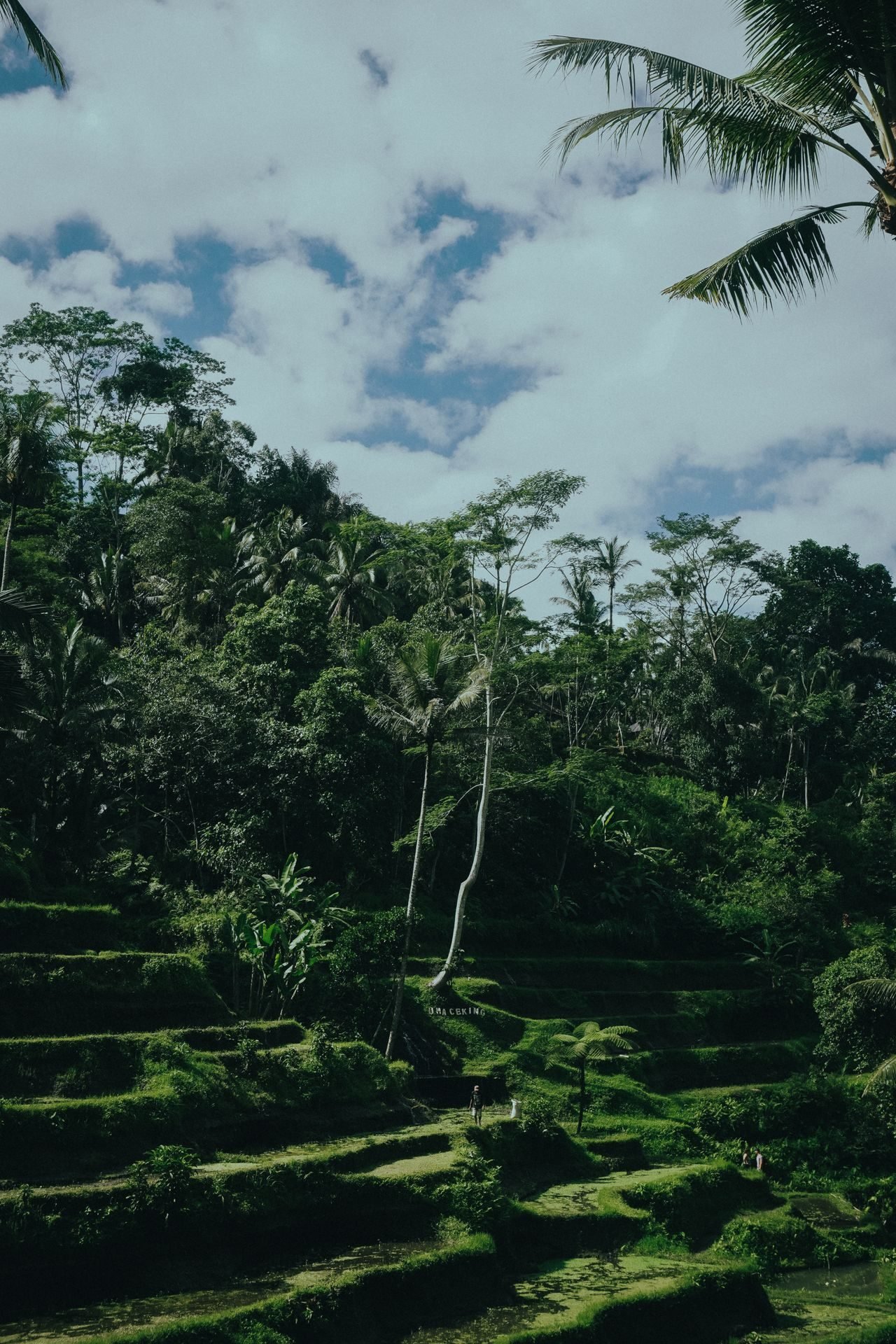 Bali holiday scenes