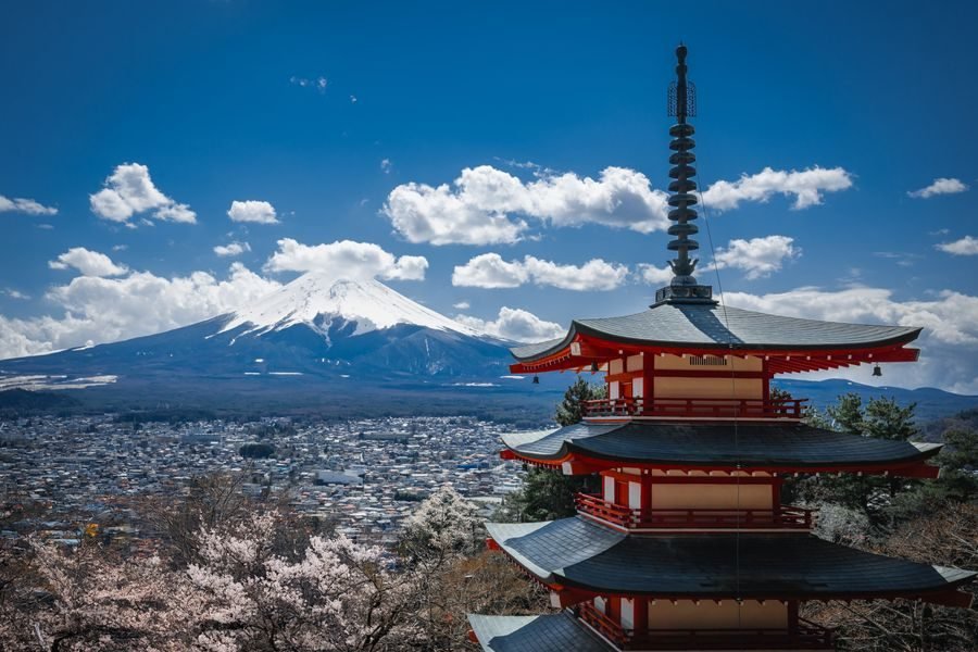 Japan Cherry Blossom Guide: When & Where to See Sakura