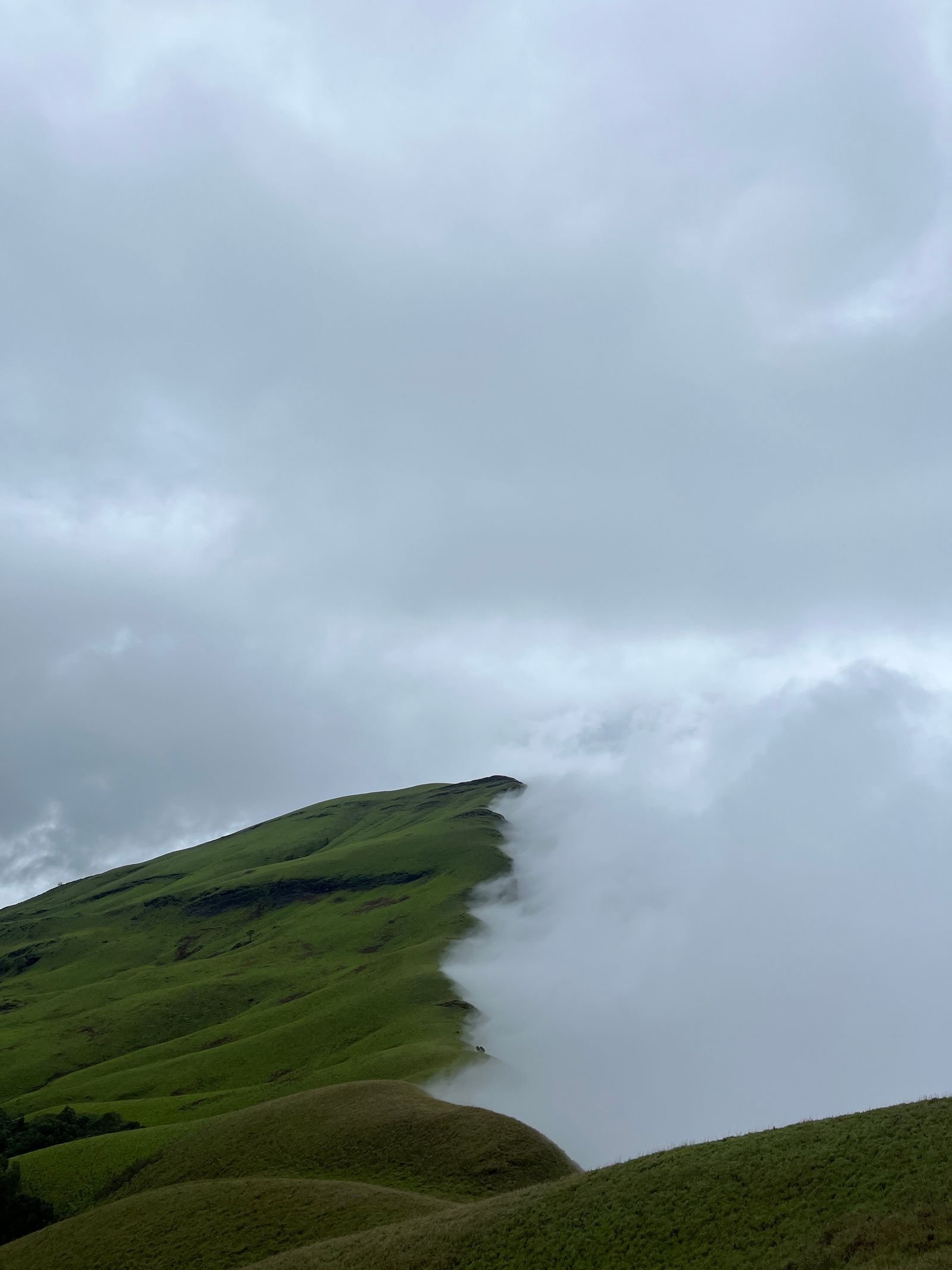 Clouds over the green hills near Kemmanagundi, Chikmagalur