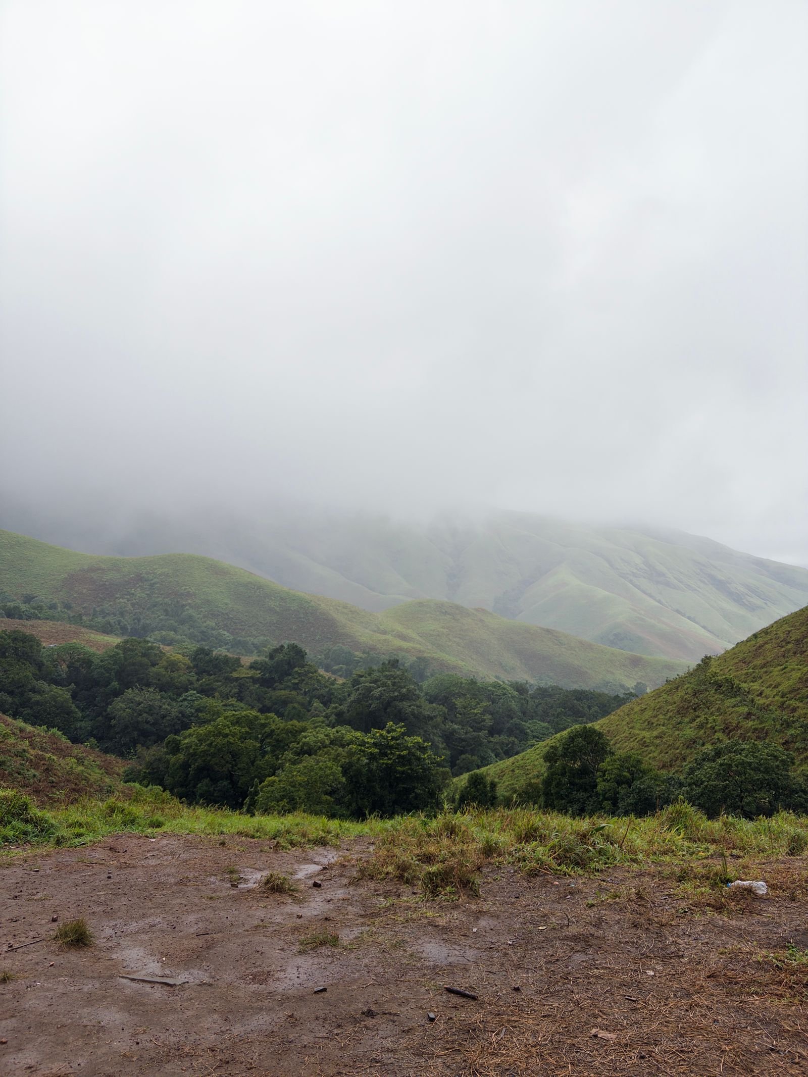 Misty rolling hills of Kudremukh near Chikmagalur
