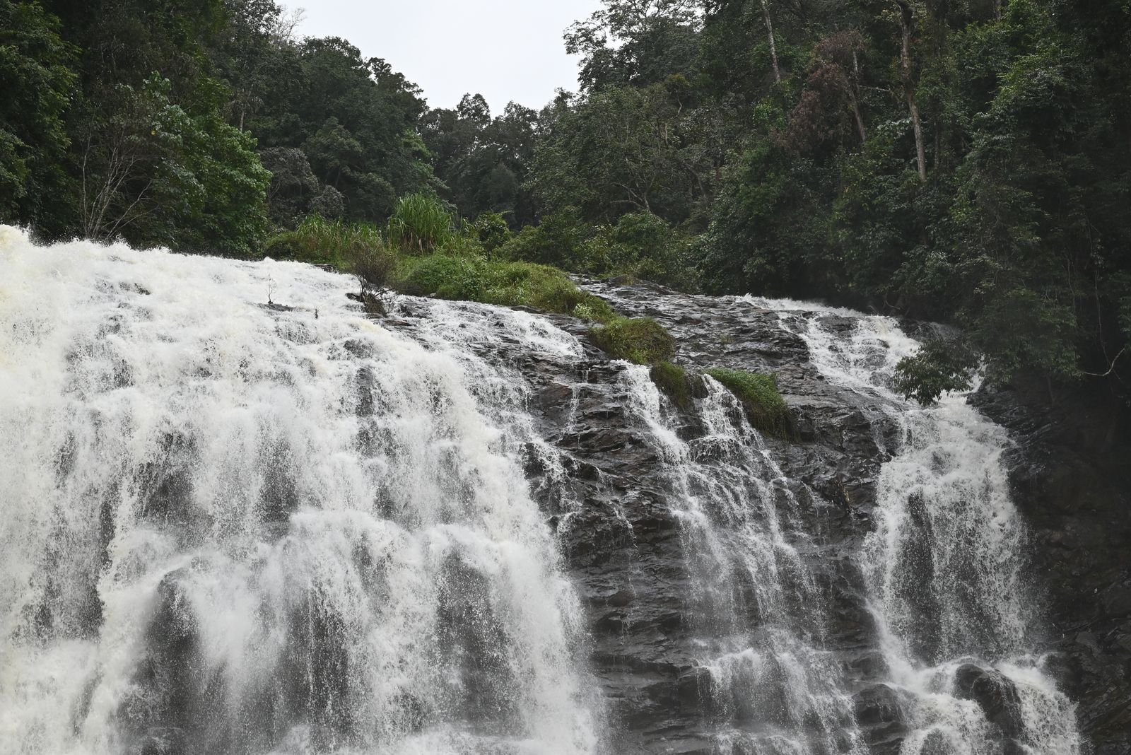 Coorg holiday scenes