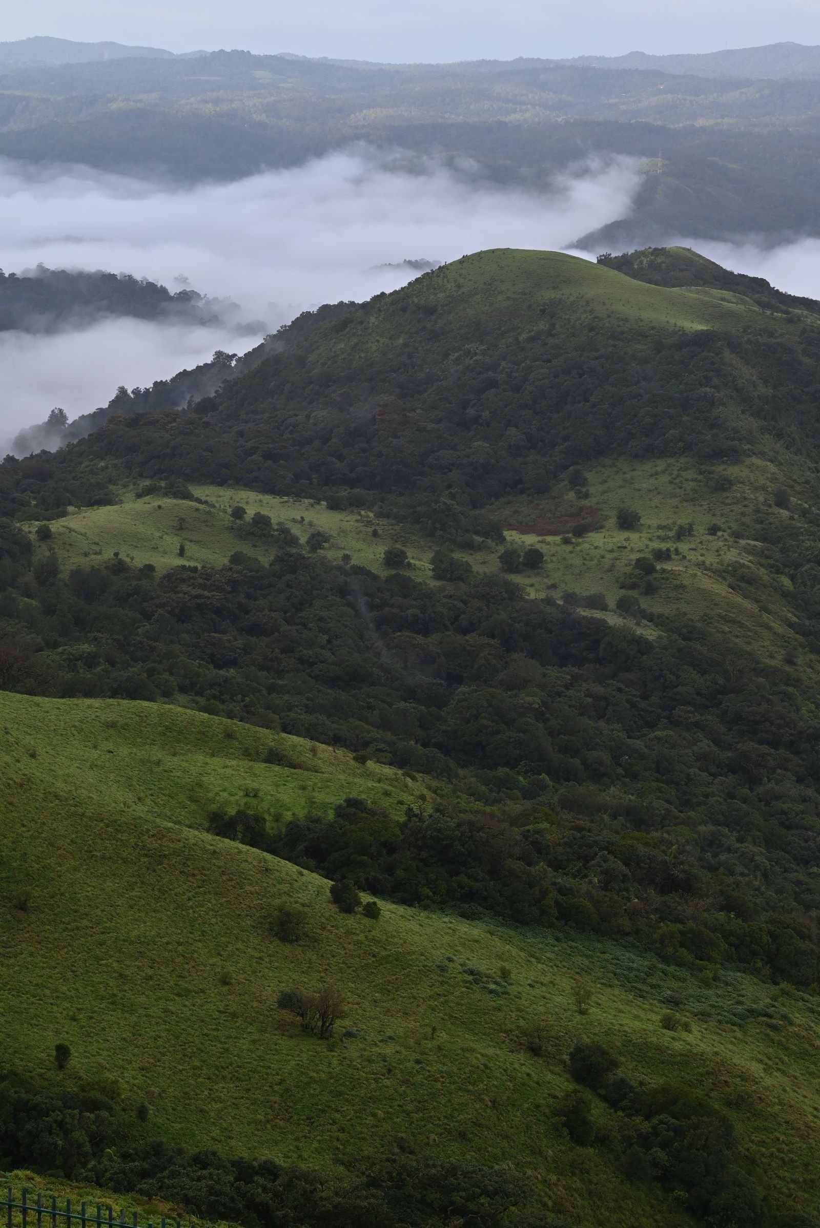 Aerial view of misty Brahmagiri hills, Coorg