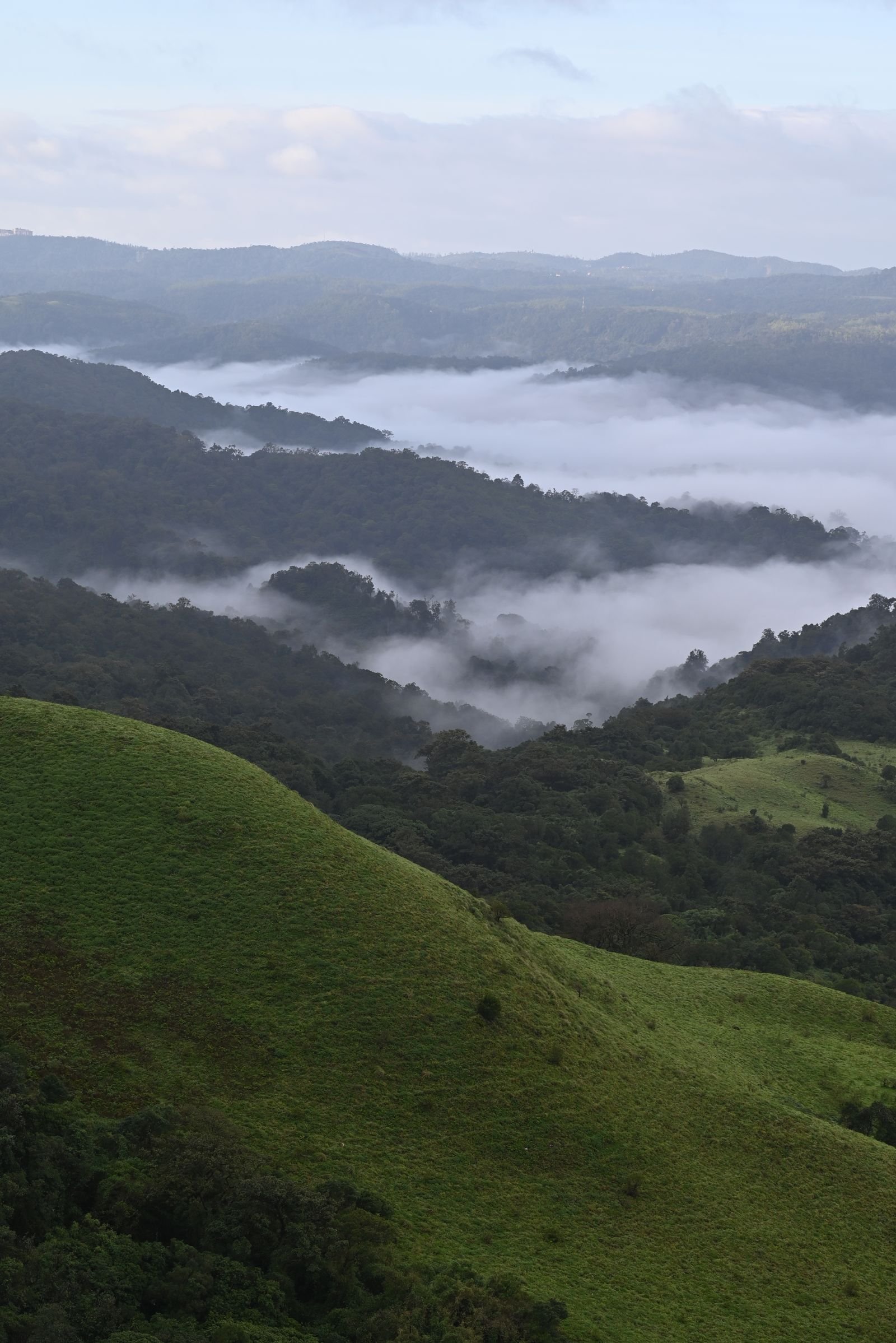 Coorg holiday scenes