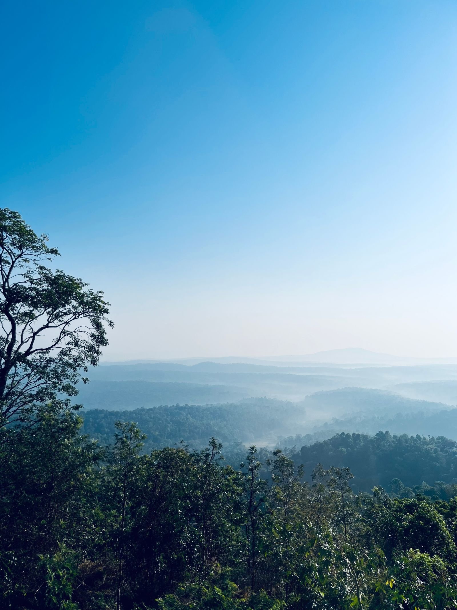 Mist-filled valley view from Raja's Seat, Coorg