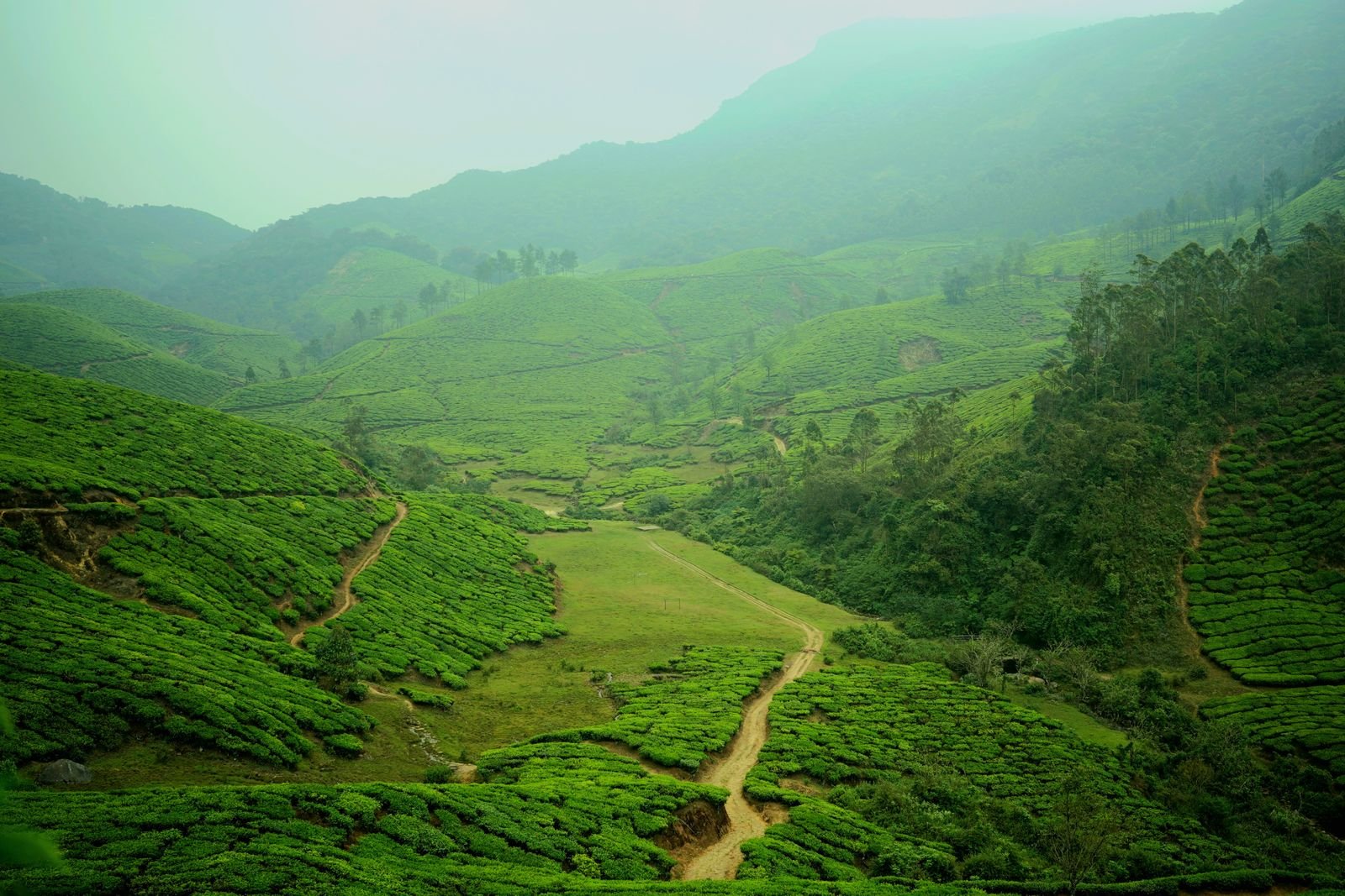 Coorg holiday scenes
