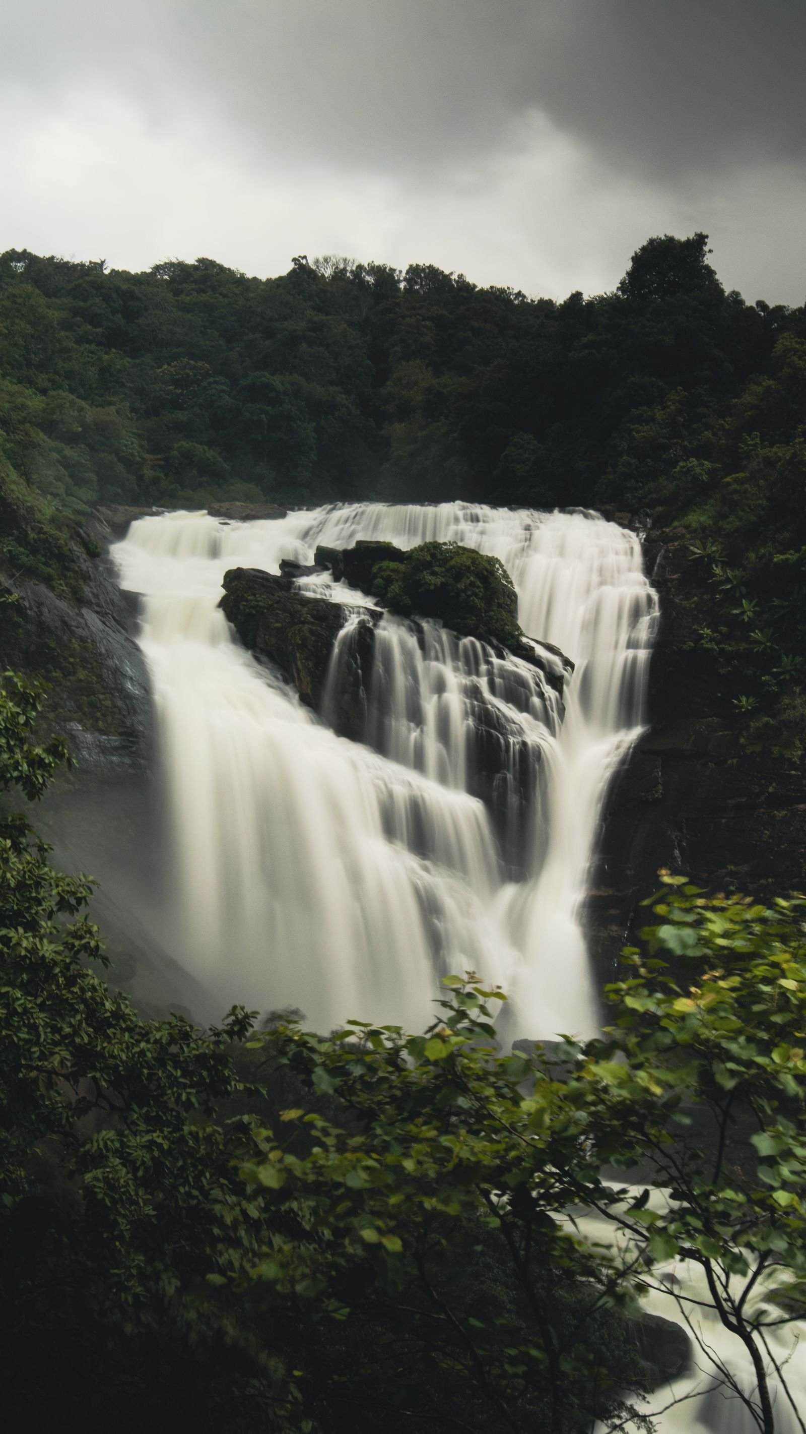 Forest waterfall in the Brahmagiri range near Coorg