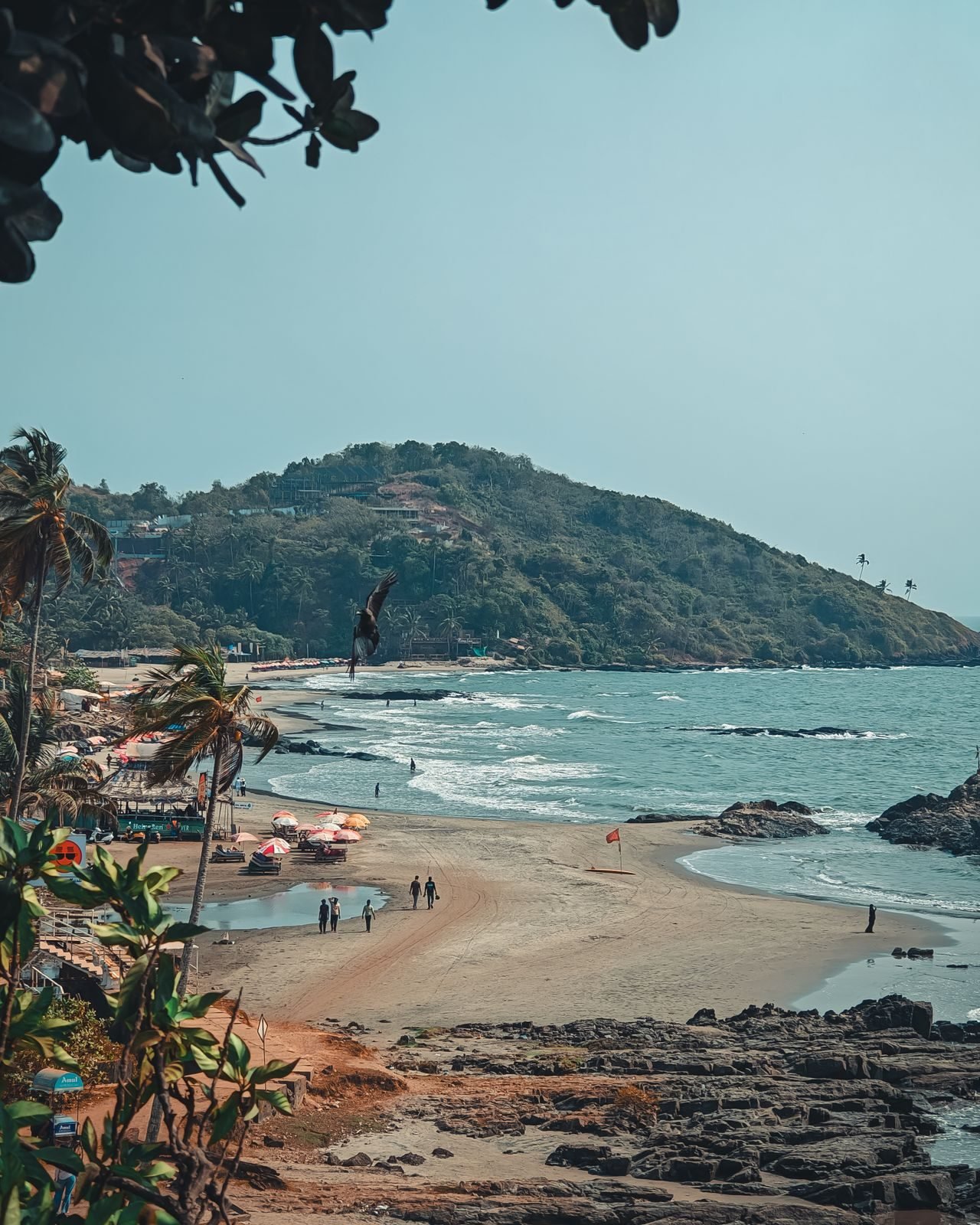 Goa: dolphin trips & forts