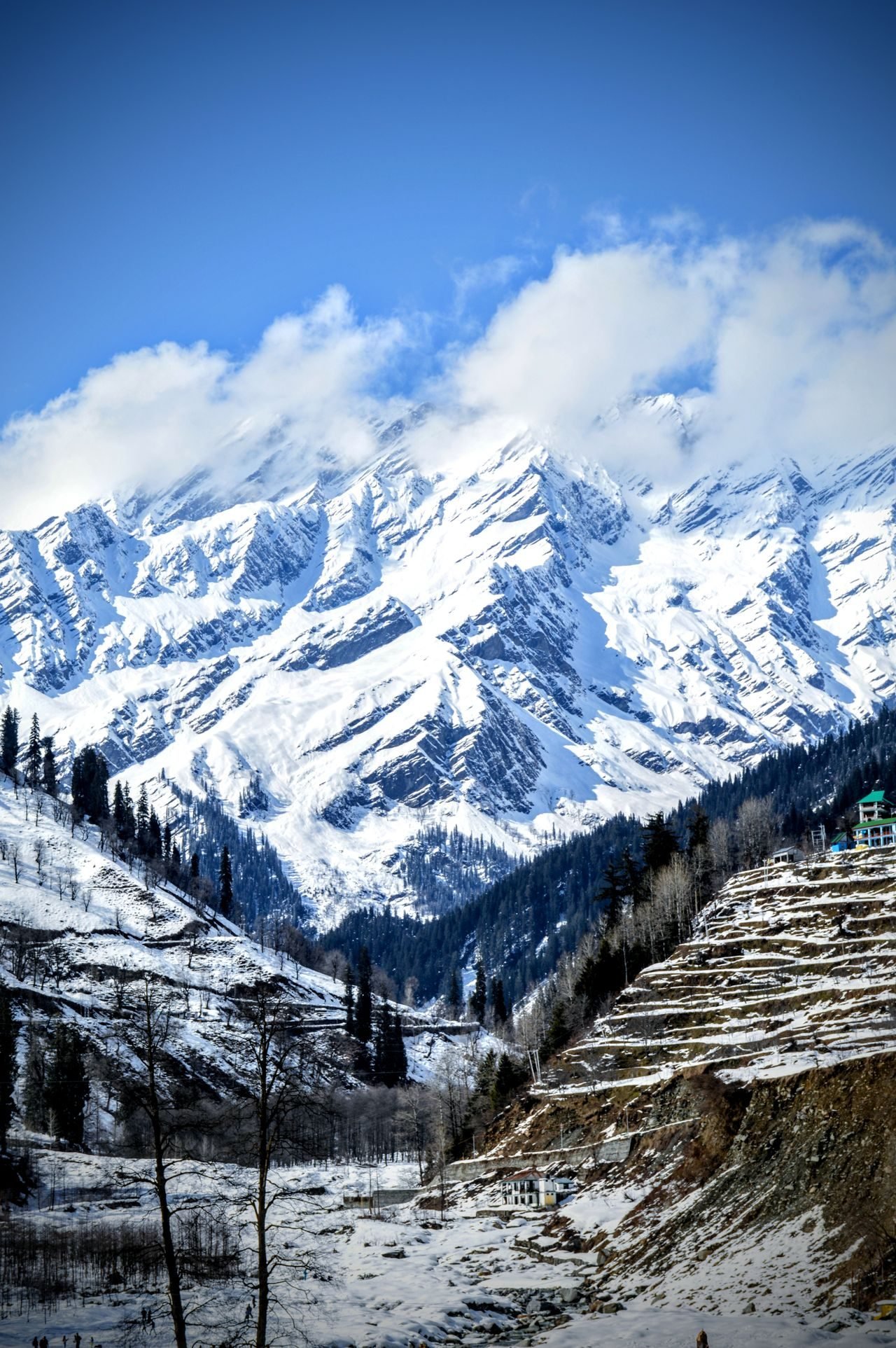 Himachal holiday scenes