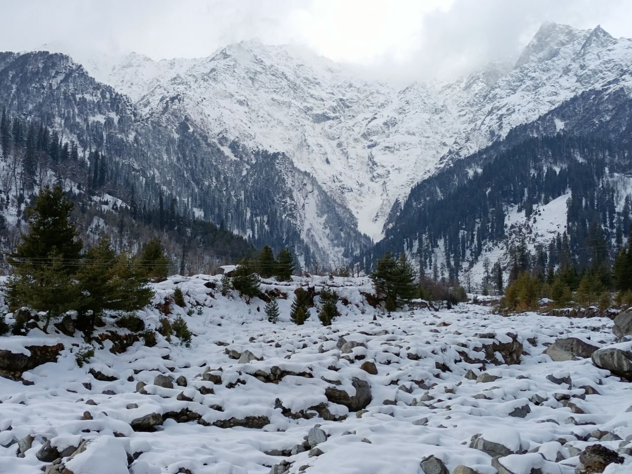 Himachal holiday scenes