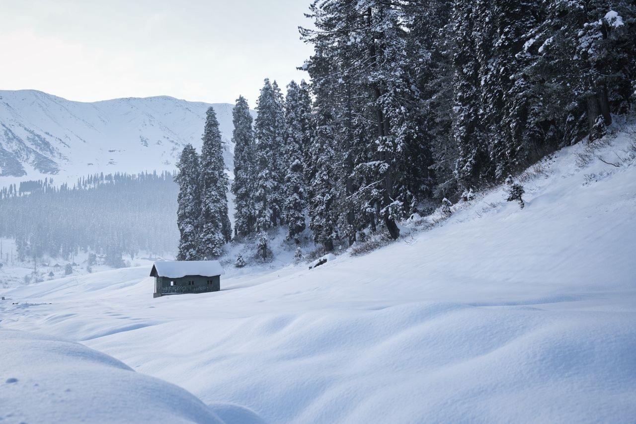 Kashmir holiday scenes