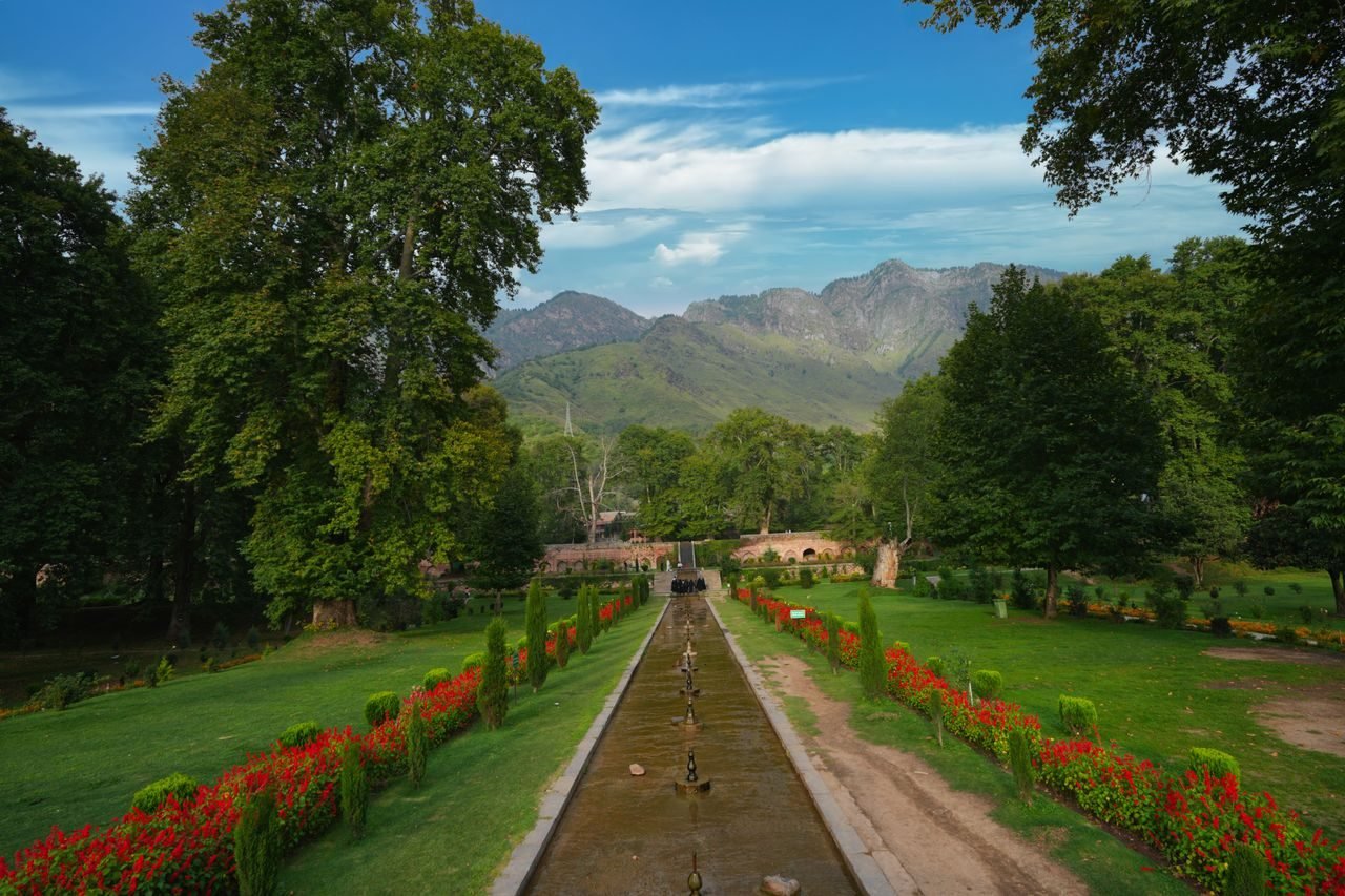 Doodhpathri or Yusmarg — Kashmir