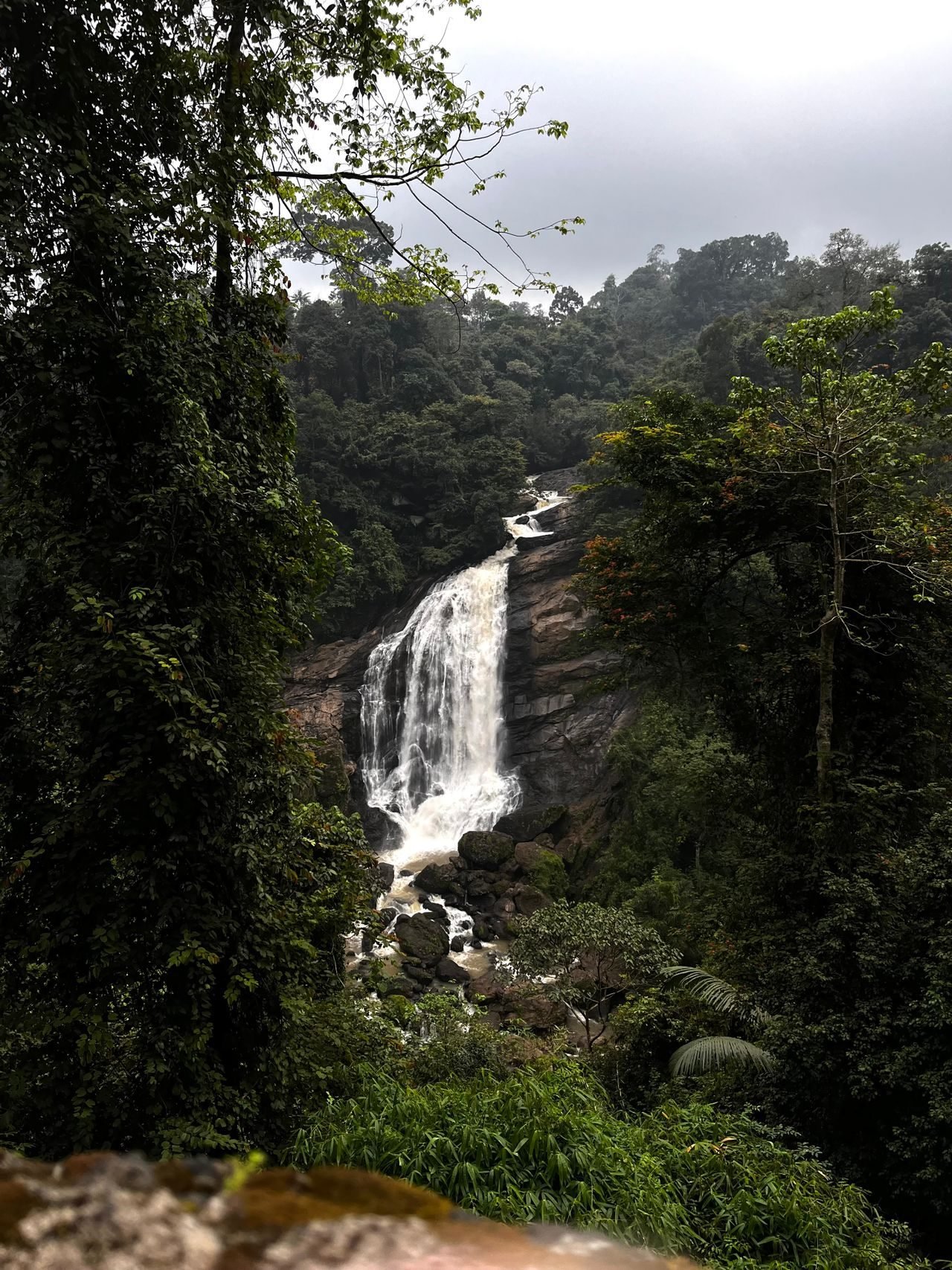 Thumboormuzhi Dam & Gardens — Kerala