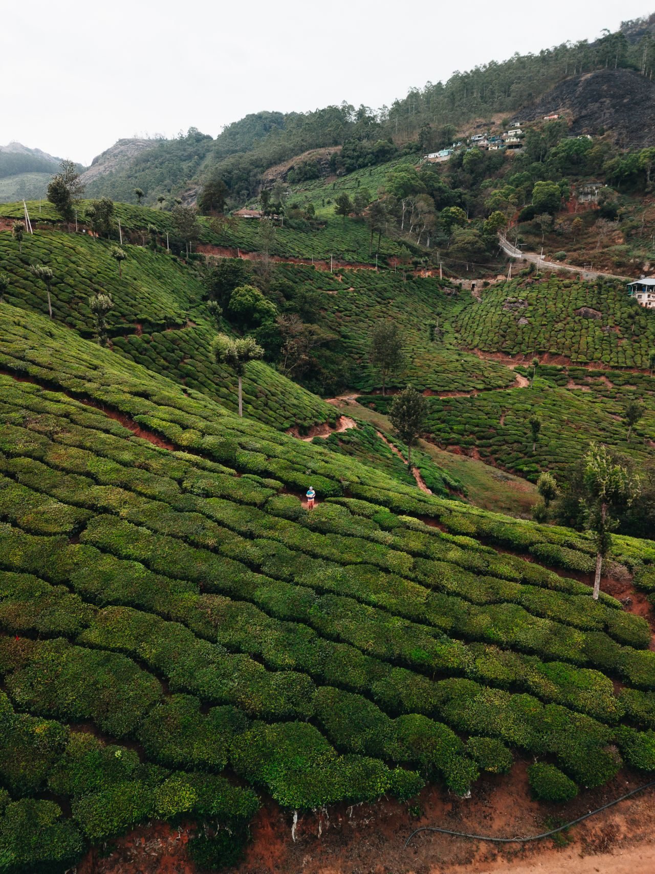 Kerala holiday scenes
