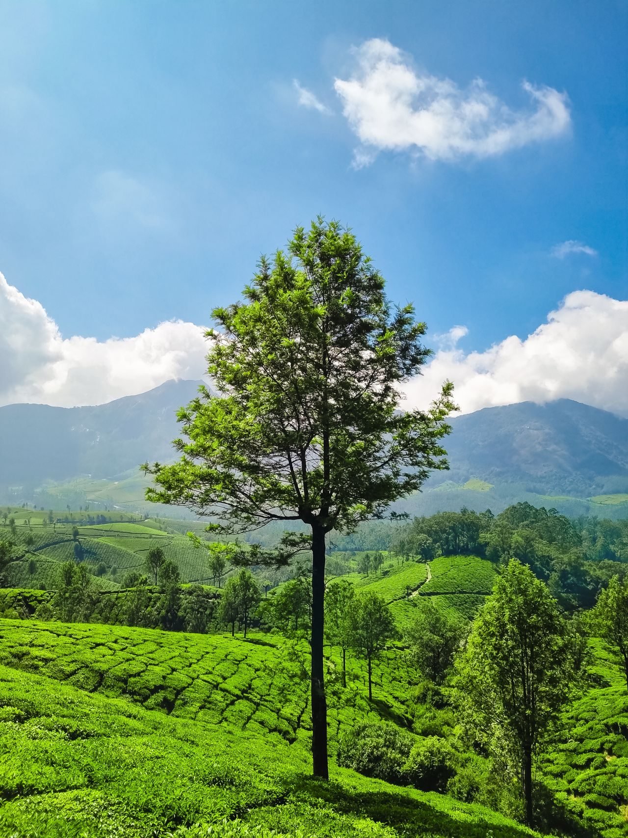 Kochi — Kerala