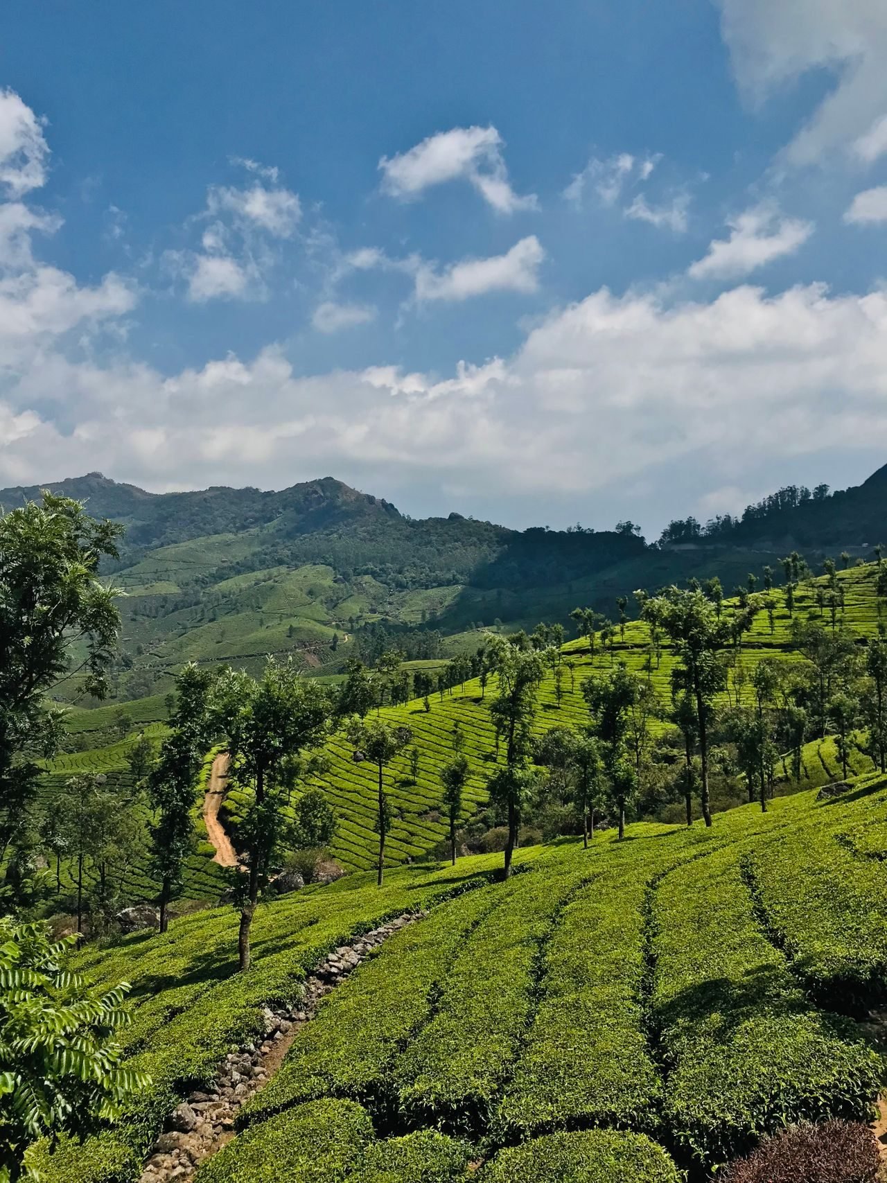Kerala holiday scenes