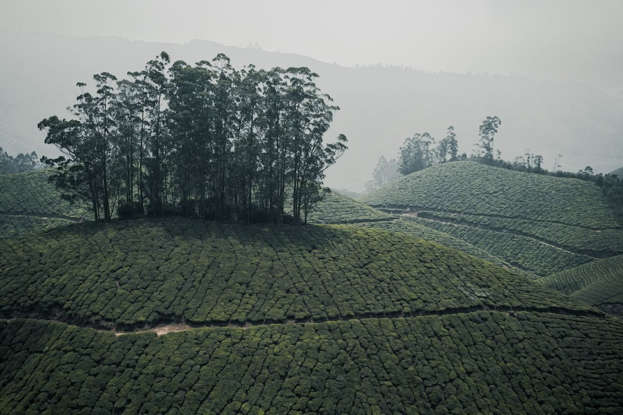 Kerala holiday scenes
