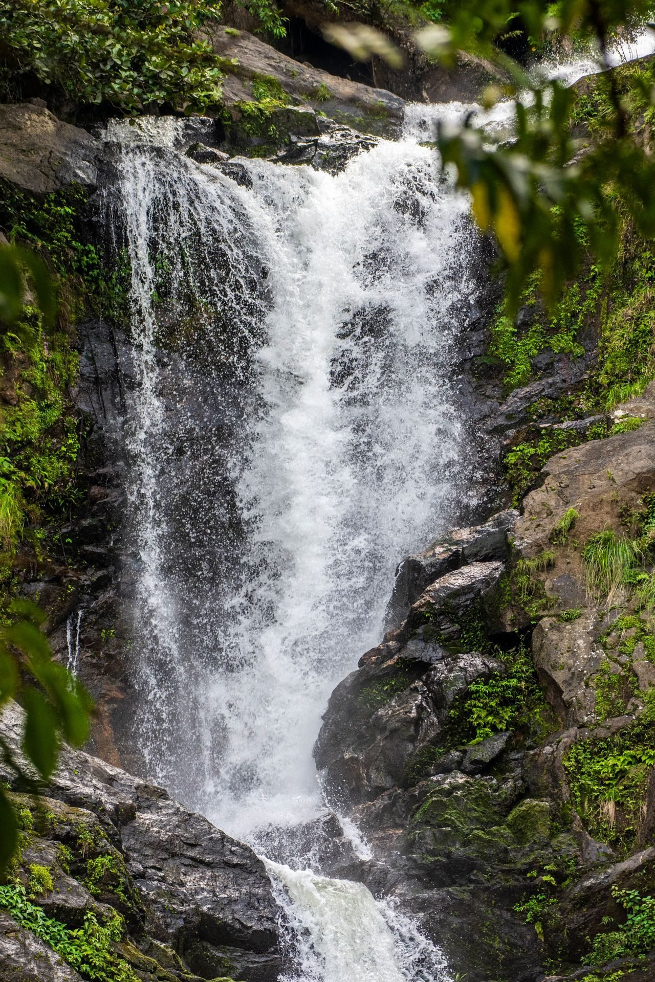Thangal Para & Viewpoints — Kerala