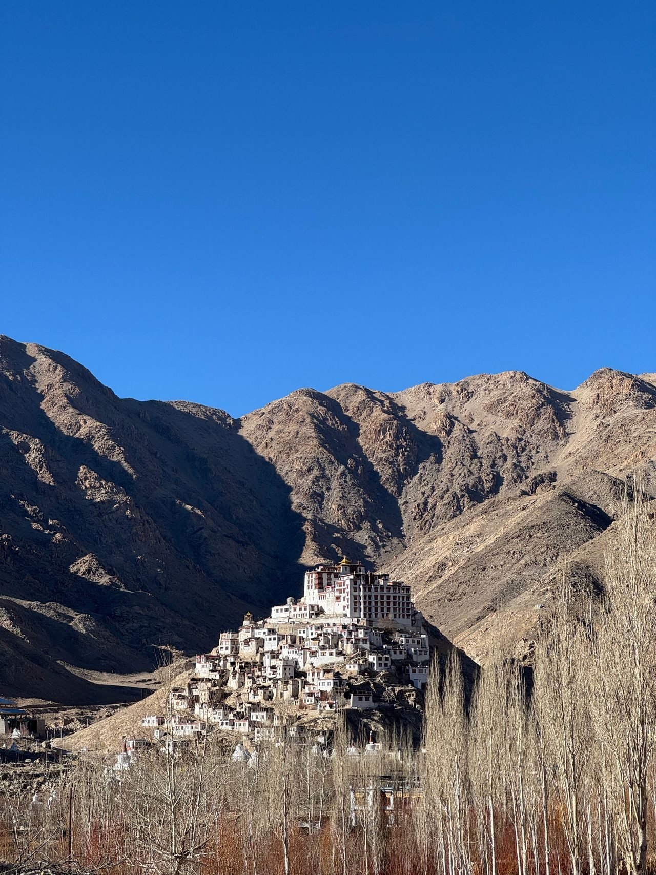 Hemis Monastery — Ladakh